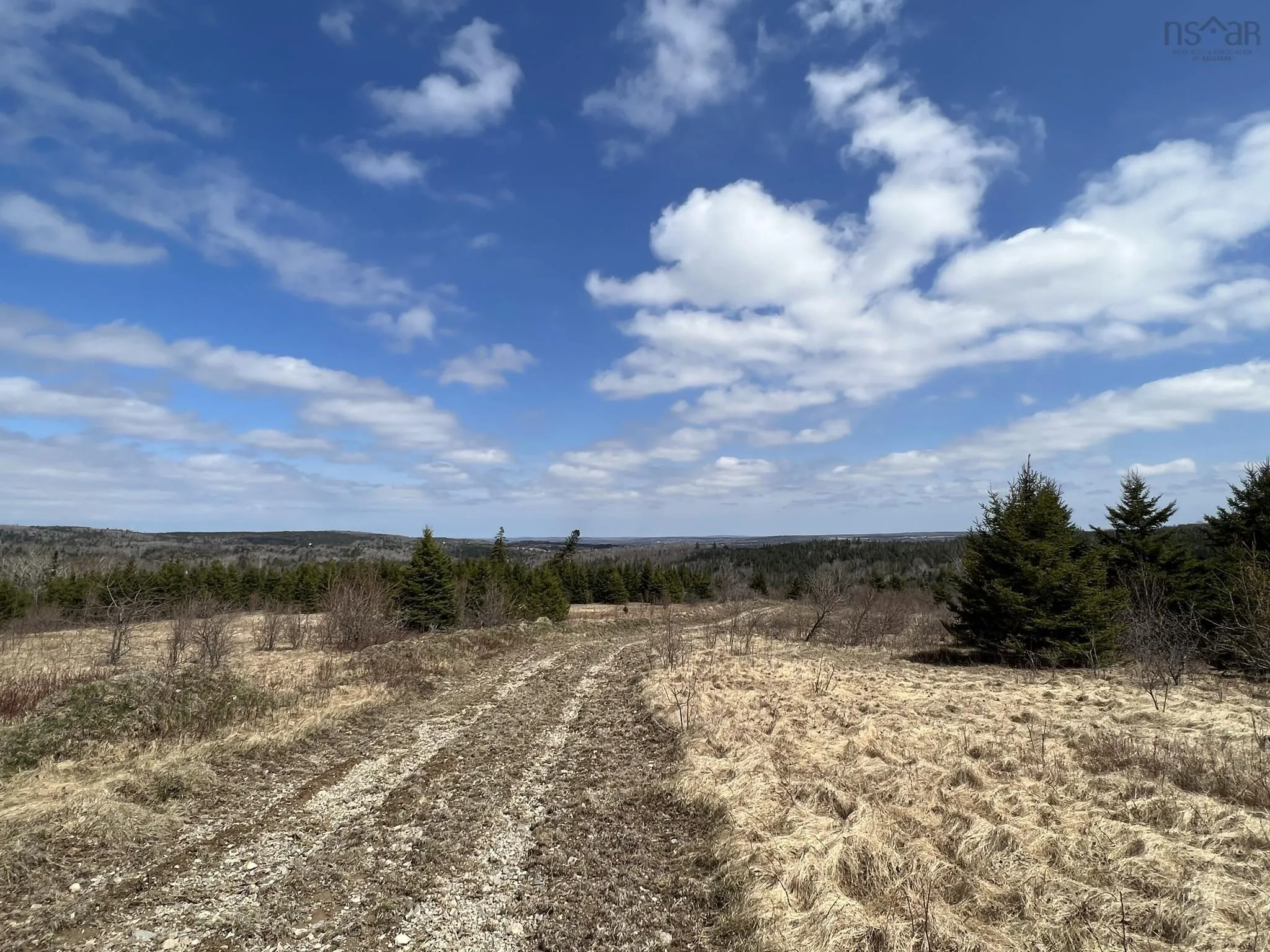 229 Lairg Road, New Lairg Ns B0k 2a0, ,Land,For Sale,Lairg,202307447