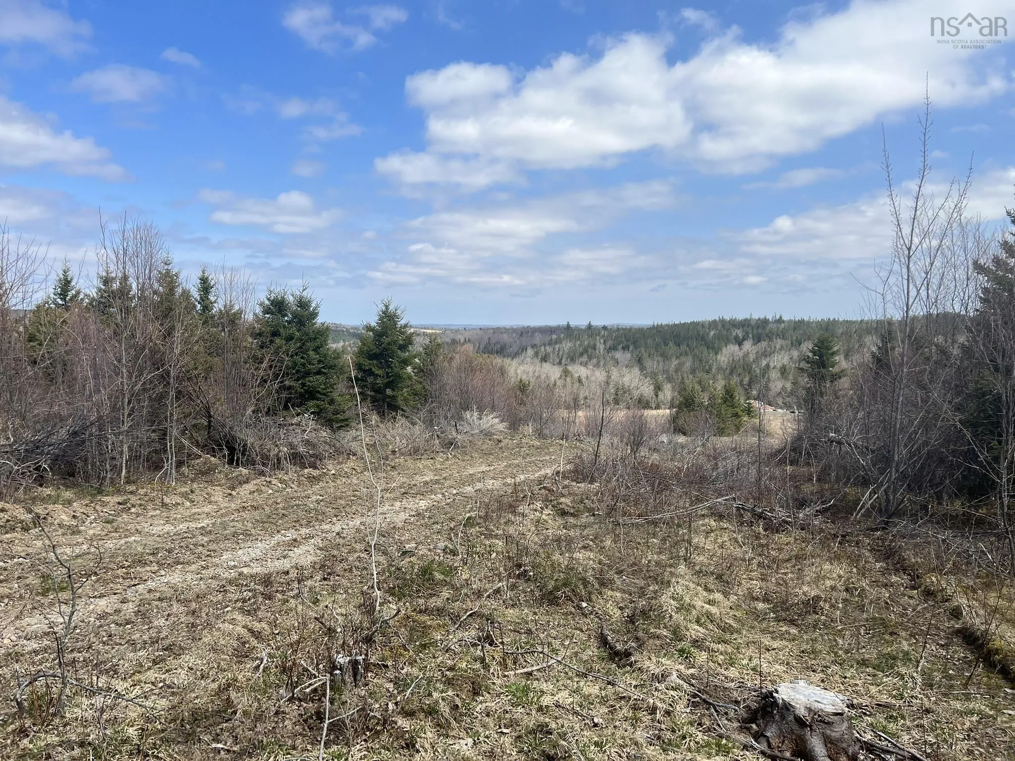 229 Lairg Road, New Lairg Ns B0k 2a0, ,Land,For Sale,Lairg,202307447