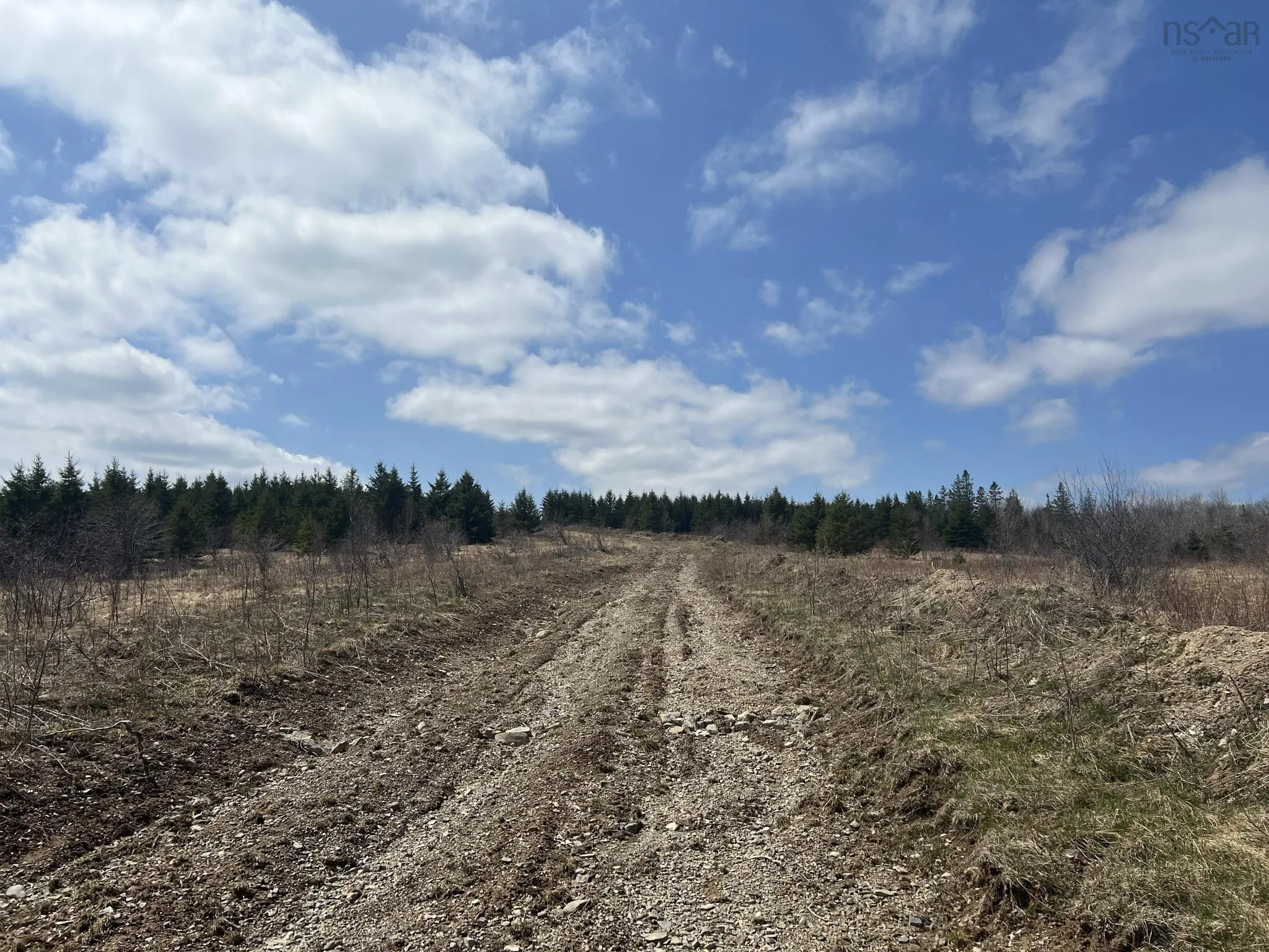 229 Lairg Road, New Lairg Ns B0k 2a0, ,Land,For Sale,Lairg,202307447