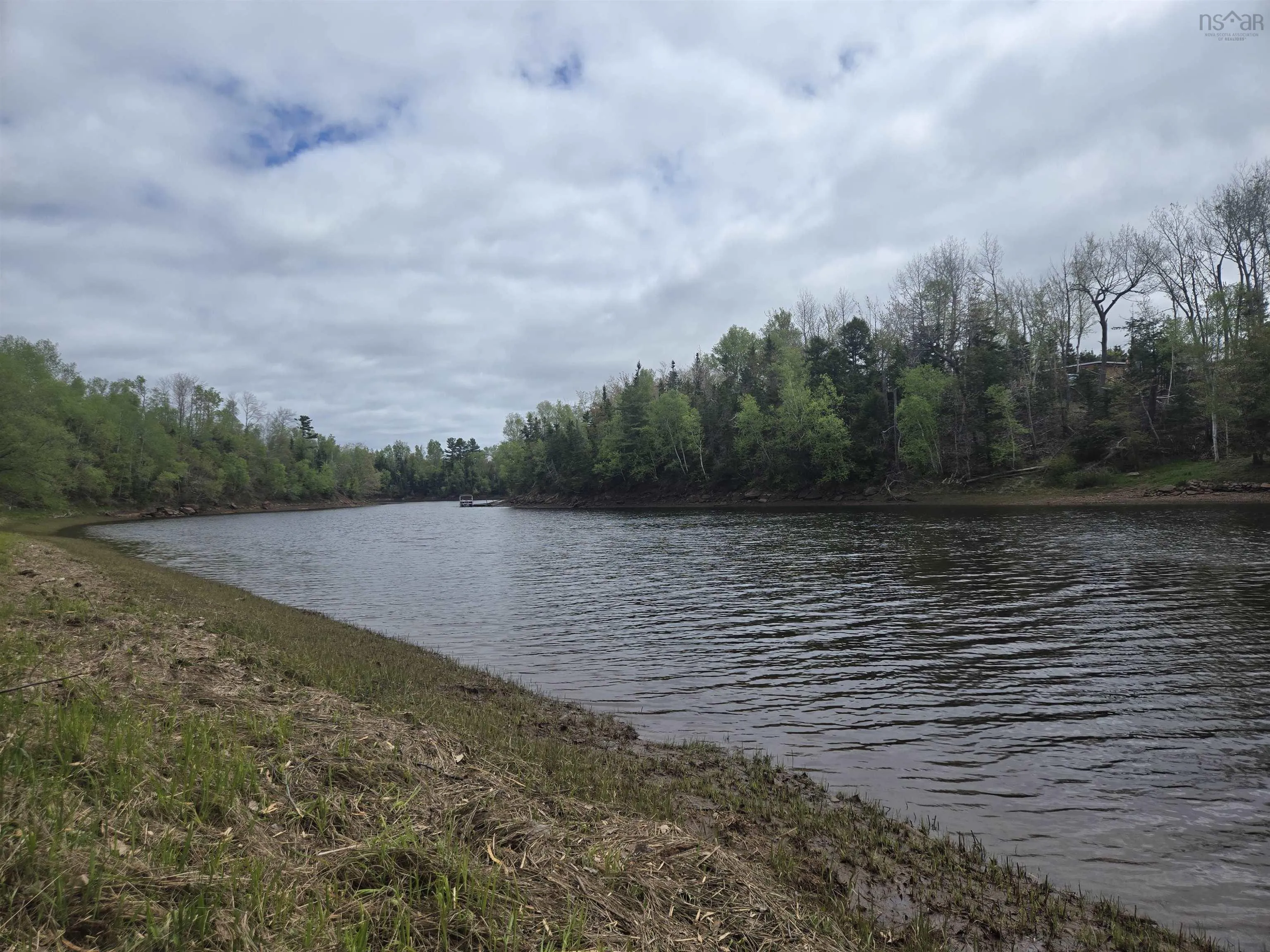 7+- Acres Roger Road, River John, NS B0K 1N0, ,Land,For Sale,Roger,202511896