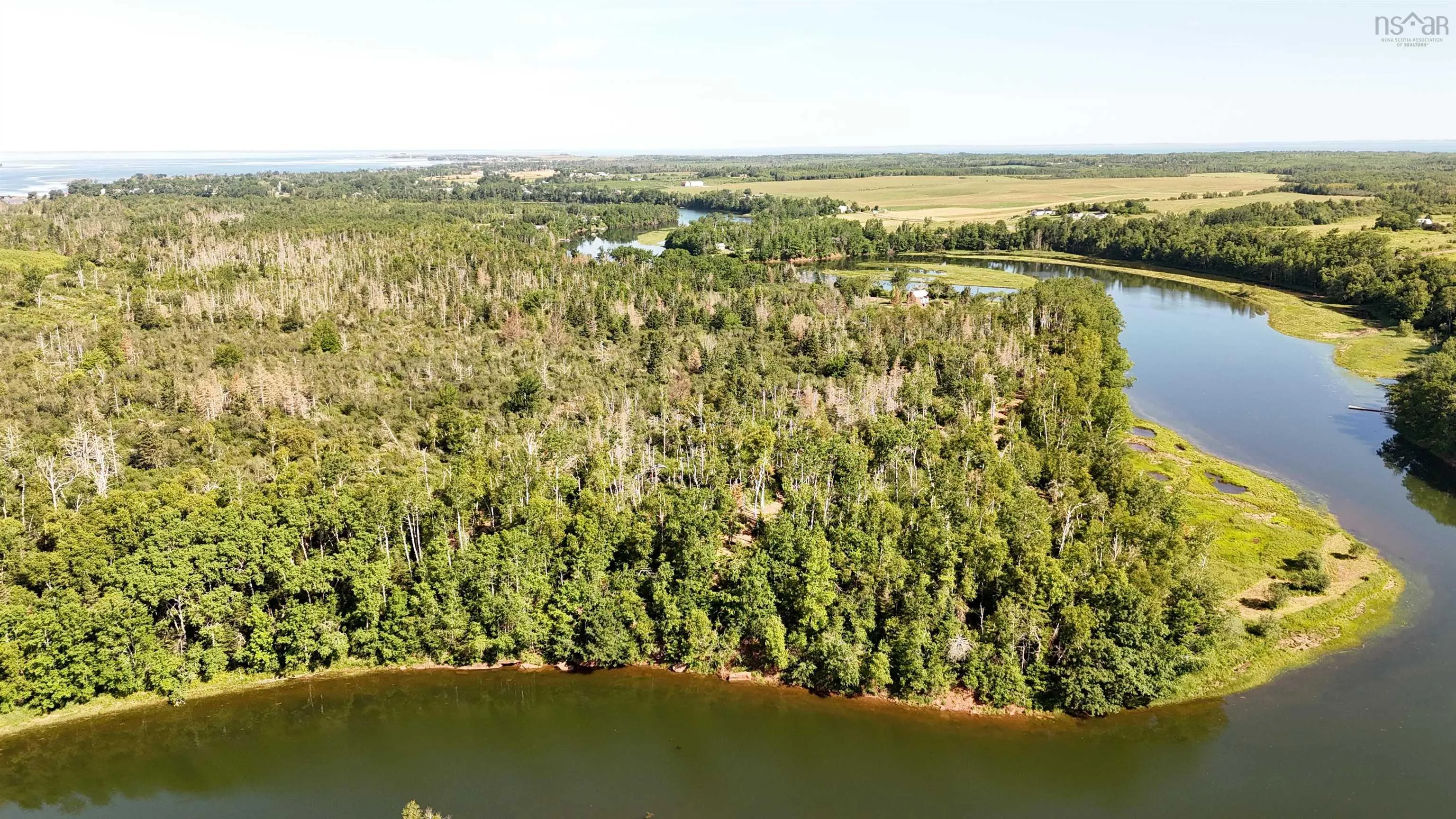 7+- Acres Roger Road, River John, NS B0K 1N0, ,Land,For Sale,Roger,202511896