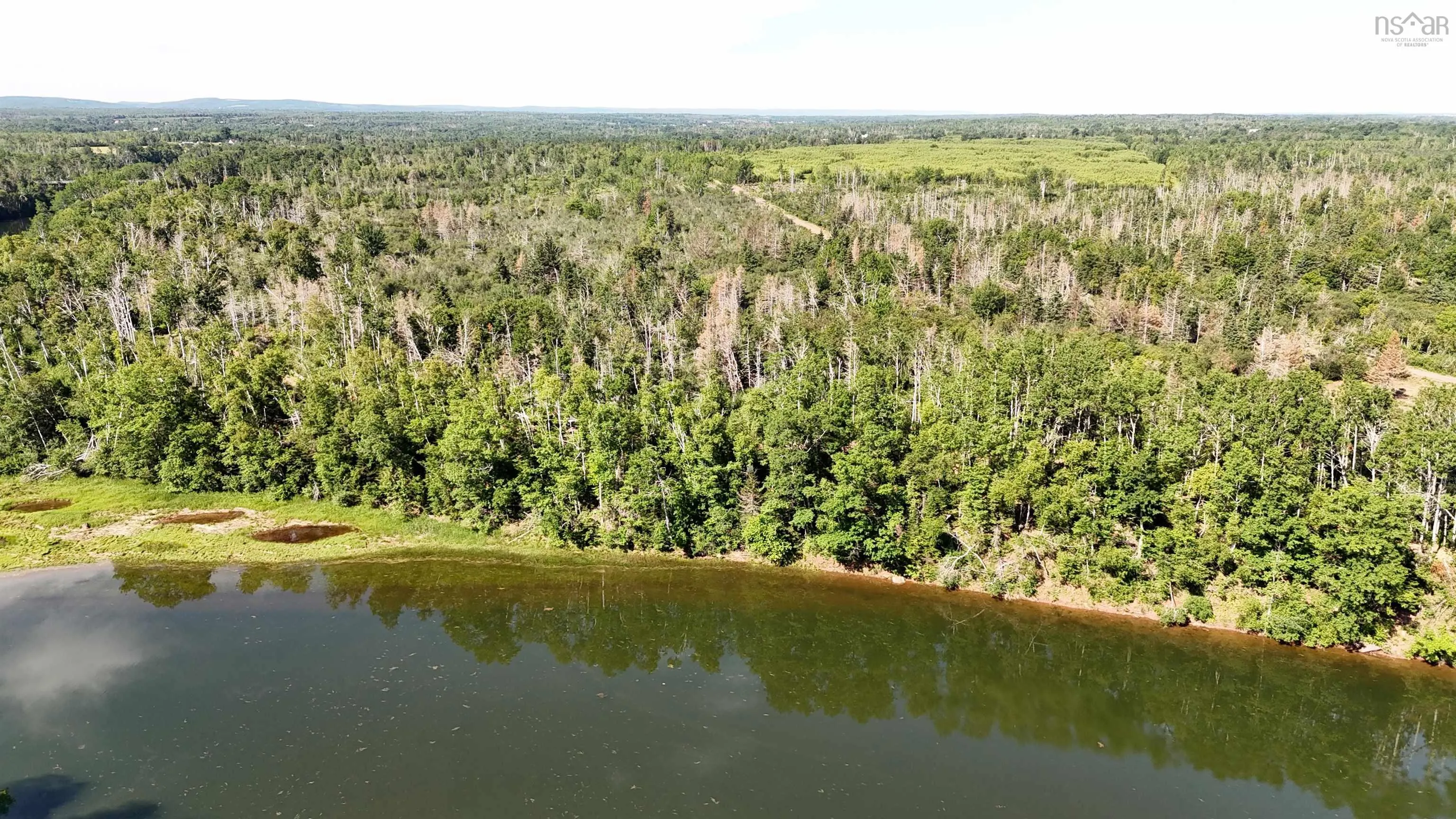 7+- Acres Roger Road, River John, NS B0K 1N0, ,Land,For Sale,Roger,202511896