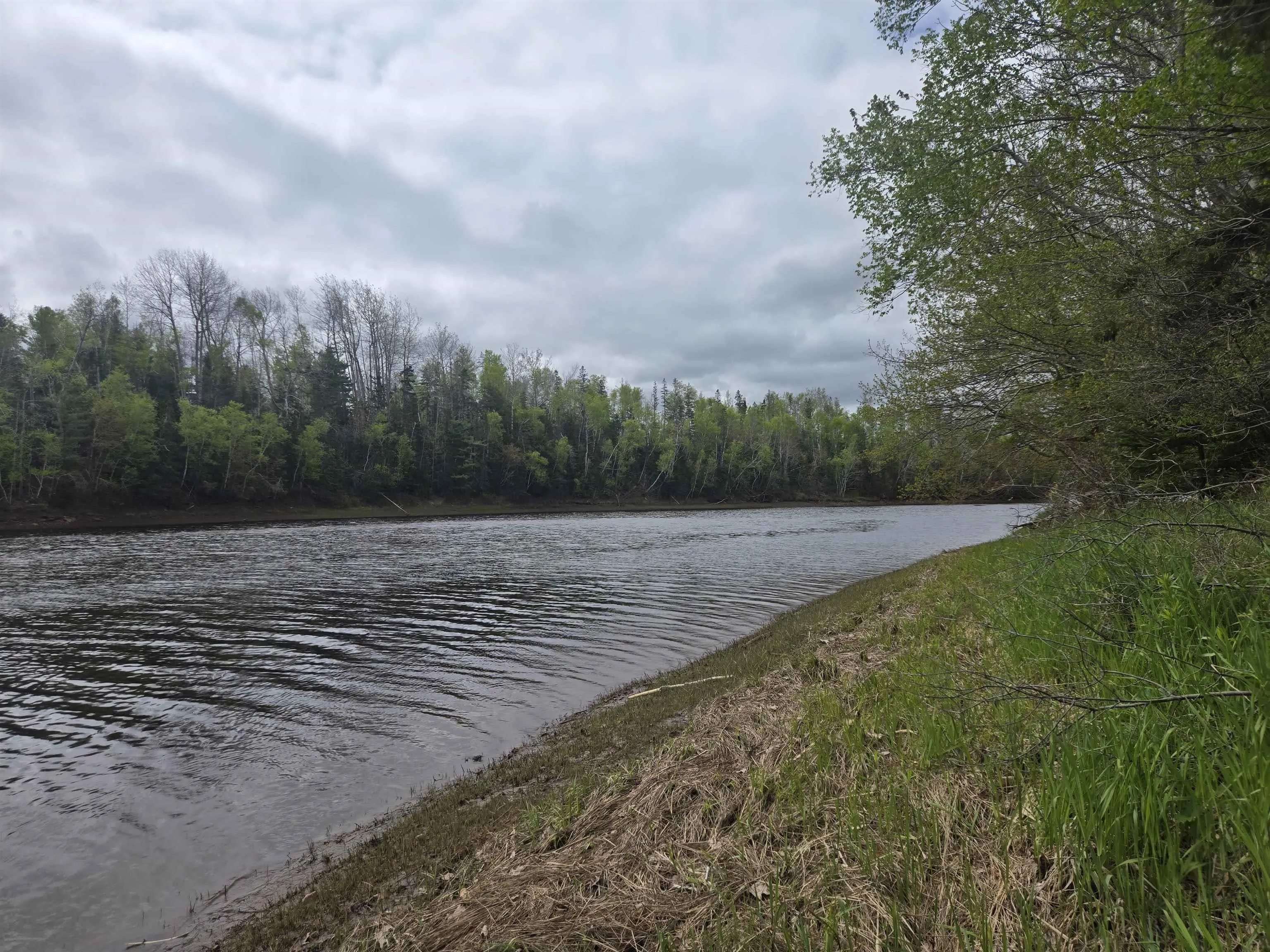7+- Acres Roger Road, River John, NS B0K 1N0, ,Land,For Sale,Roger,202511896