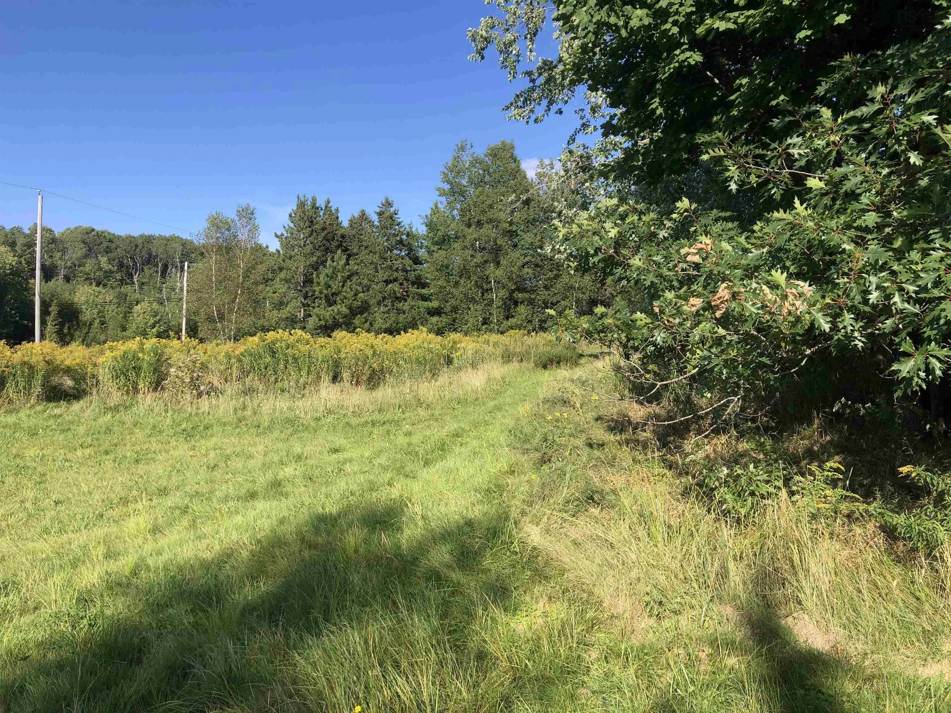 3764 Little Harbour Road, Frasers Mountain NS B2H 5C4, ,Land,For Sale,Little Harbour,202325825