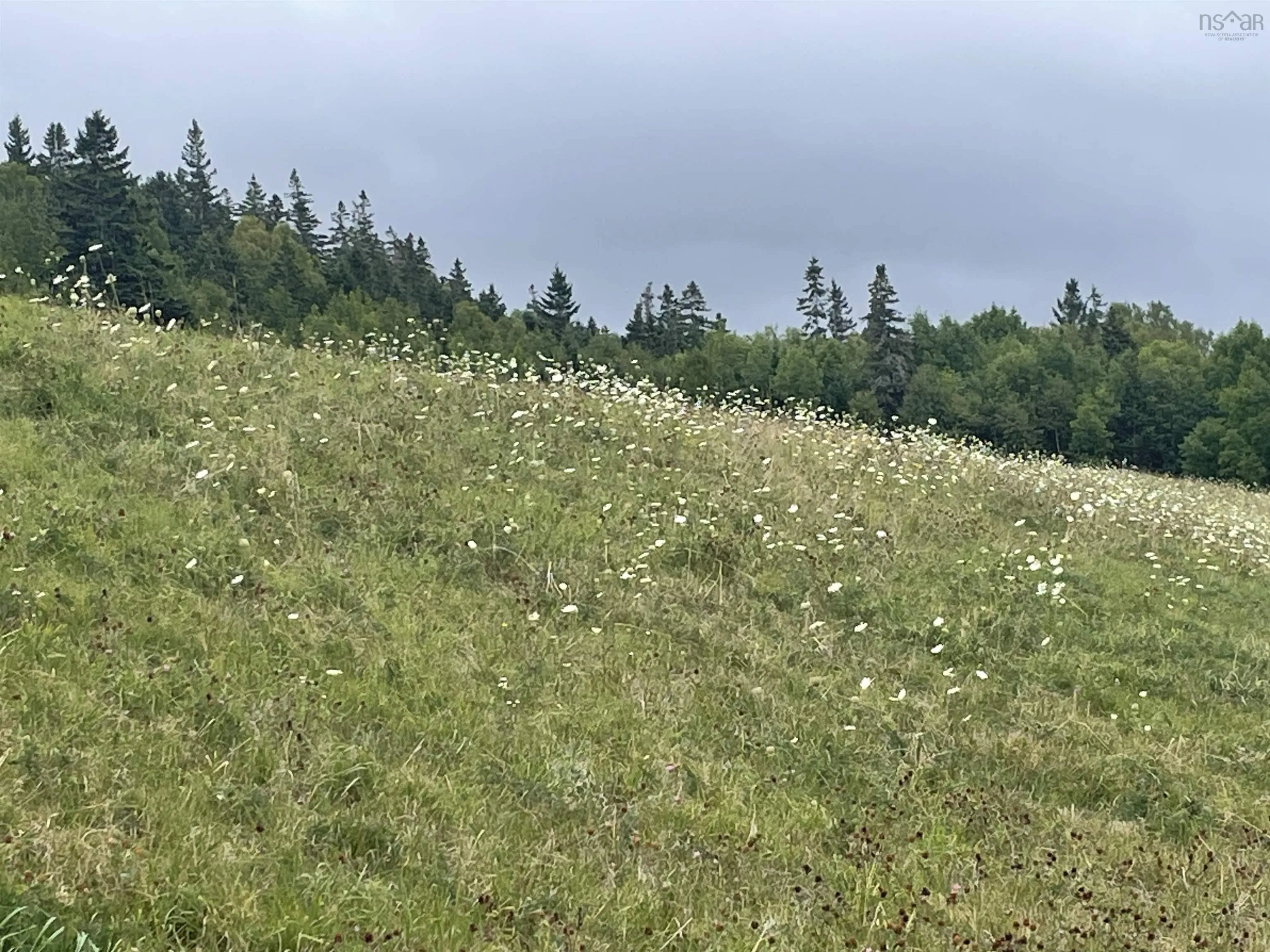 204 Highway, Irish Cove, NS B2E 1E5, ,Land,For Sale,204,202521832