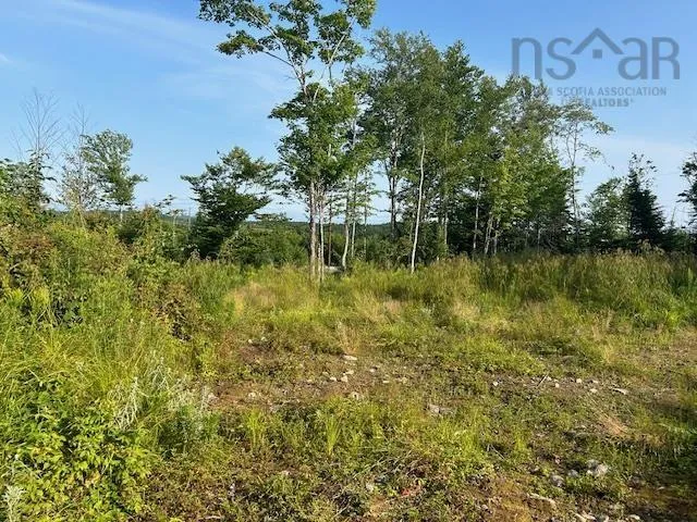 Highland Drive Lot 5, Ardoise Ns B0n 3a0, ,Land,For Sale,Highland,202418389