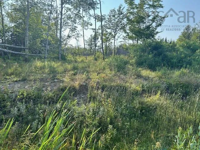 Highland Drive Lot 5, Ardoise Ns B0n 3a0, ,Land,For Sale,Highland,202418389