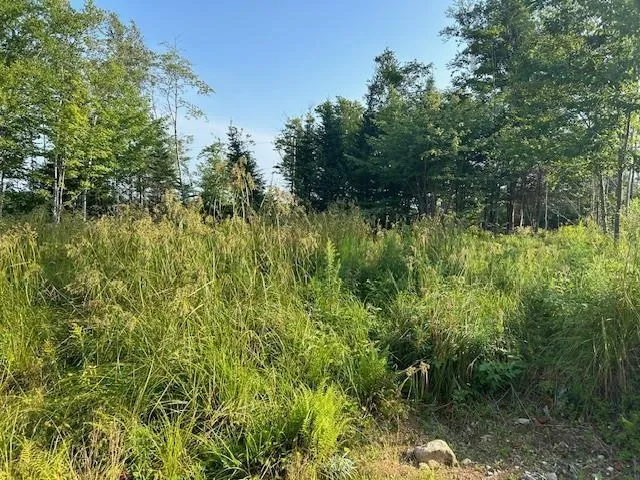 Highland Drive Lot 5, Ardoise Ns B0n 3a0, ,Land,For Sale,Highland,202418389