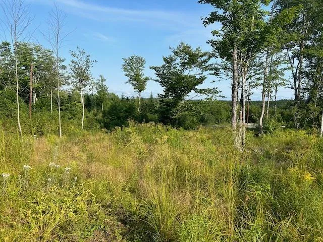 Highland Drive Lot 5, Ardoise Ns B0n 3a0, ,Land,For Sale,Highland,202418389