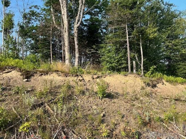 Highland Drive Lot 5, Ardoise Ns B0n 3a0, ,Land,For Sale,Highland,202418389