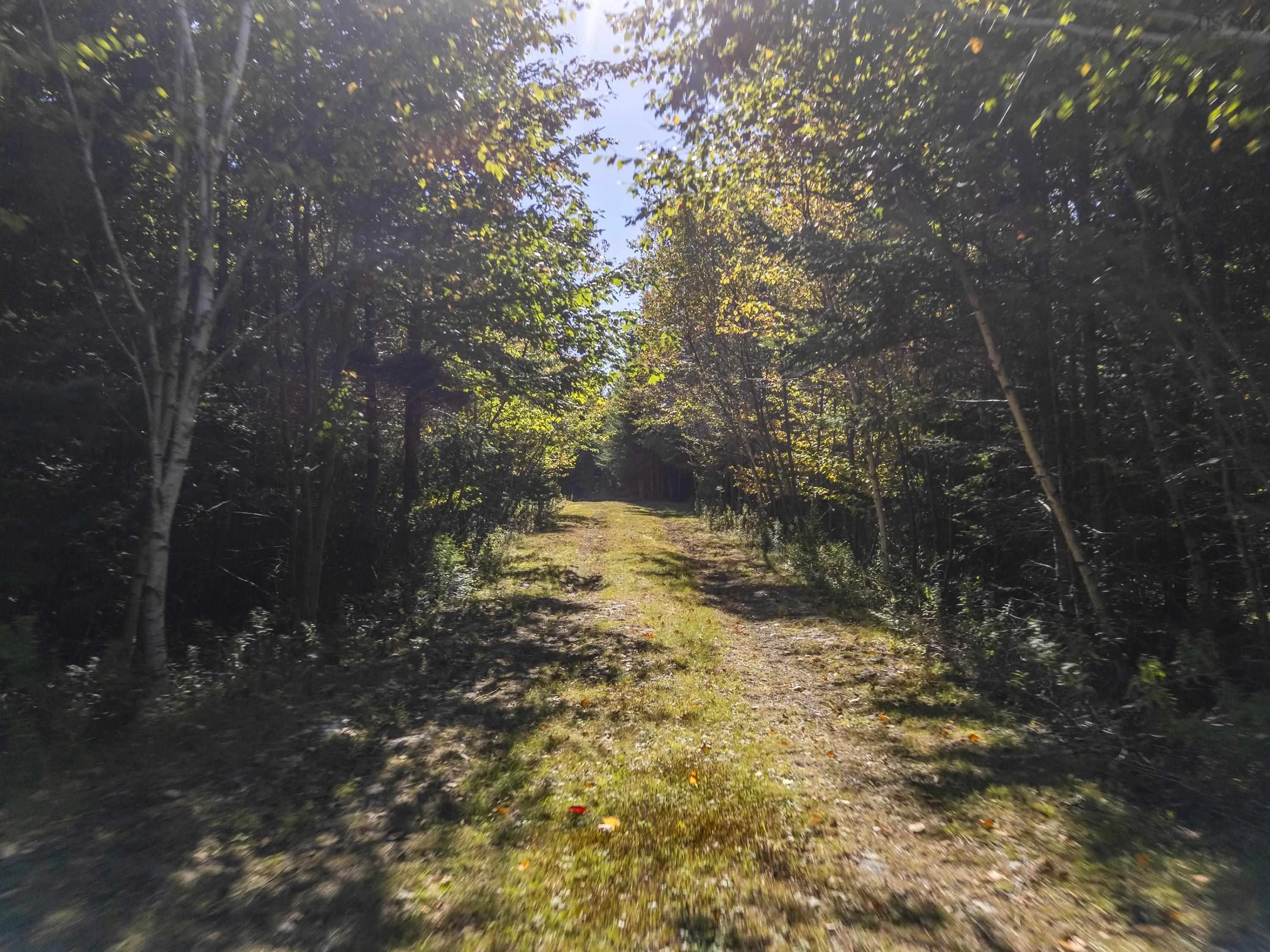 B-91 Old Halifax Road, Glen Haven, NS B3Z 2W8, ,Land,For Sale,Old Halifax,202512890