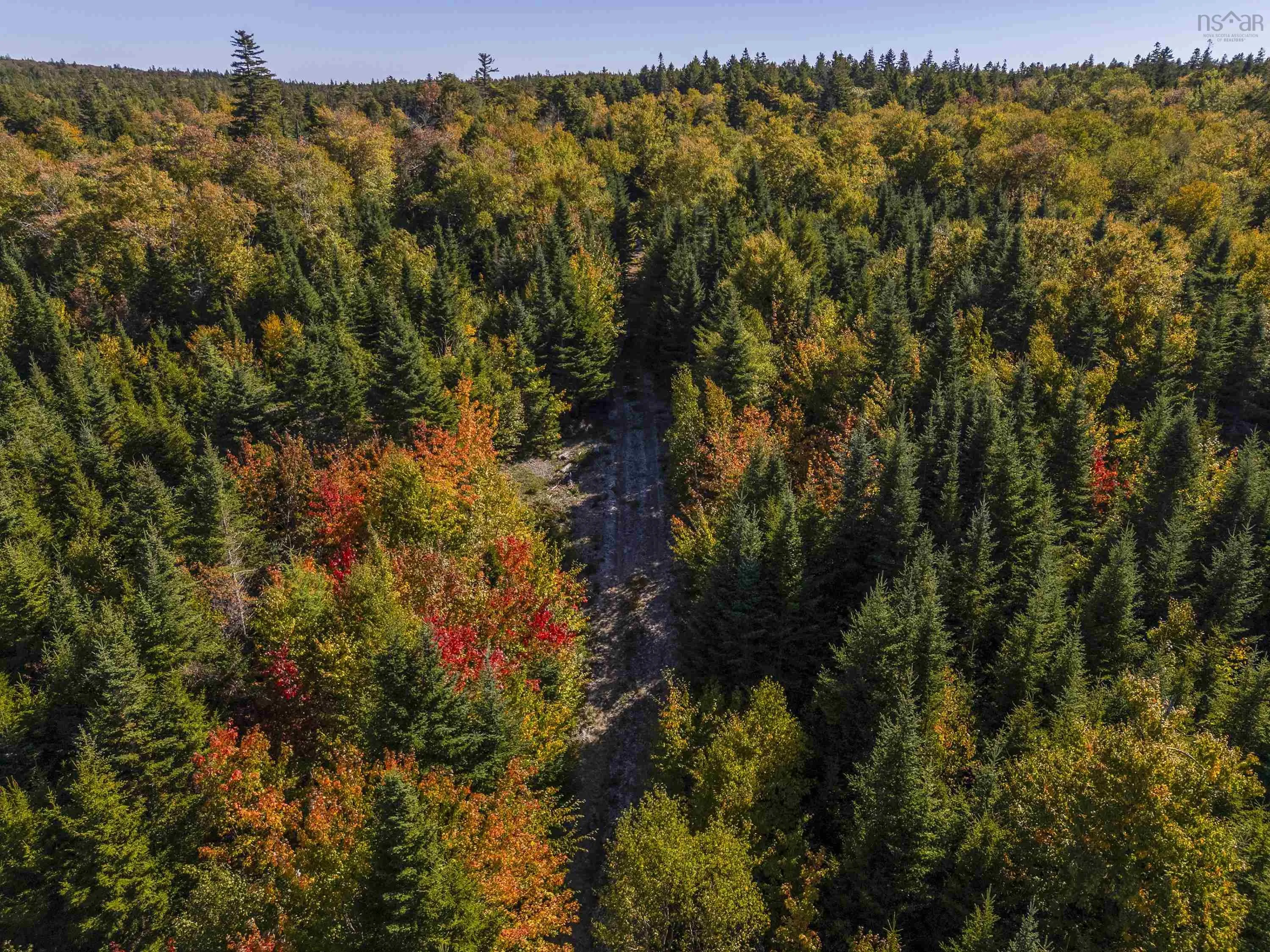 B-91 Old Halifax Road, Glen Haven, NS B3Z 2W8, ,Land,For Sale,Old Halifax,202512890