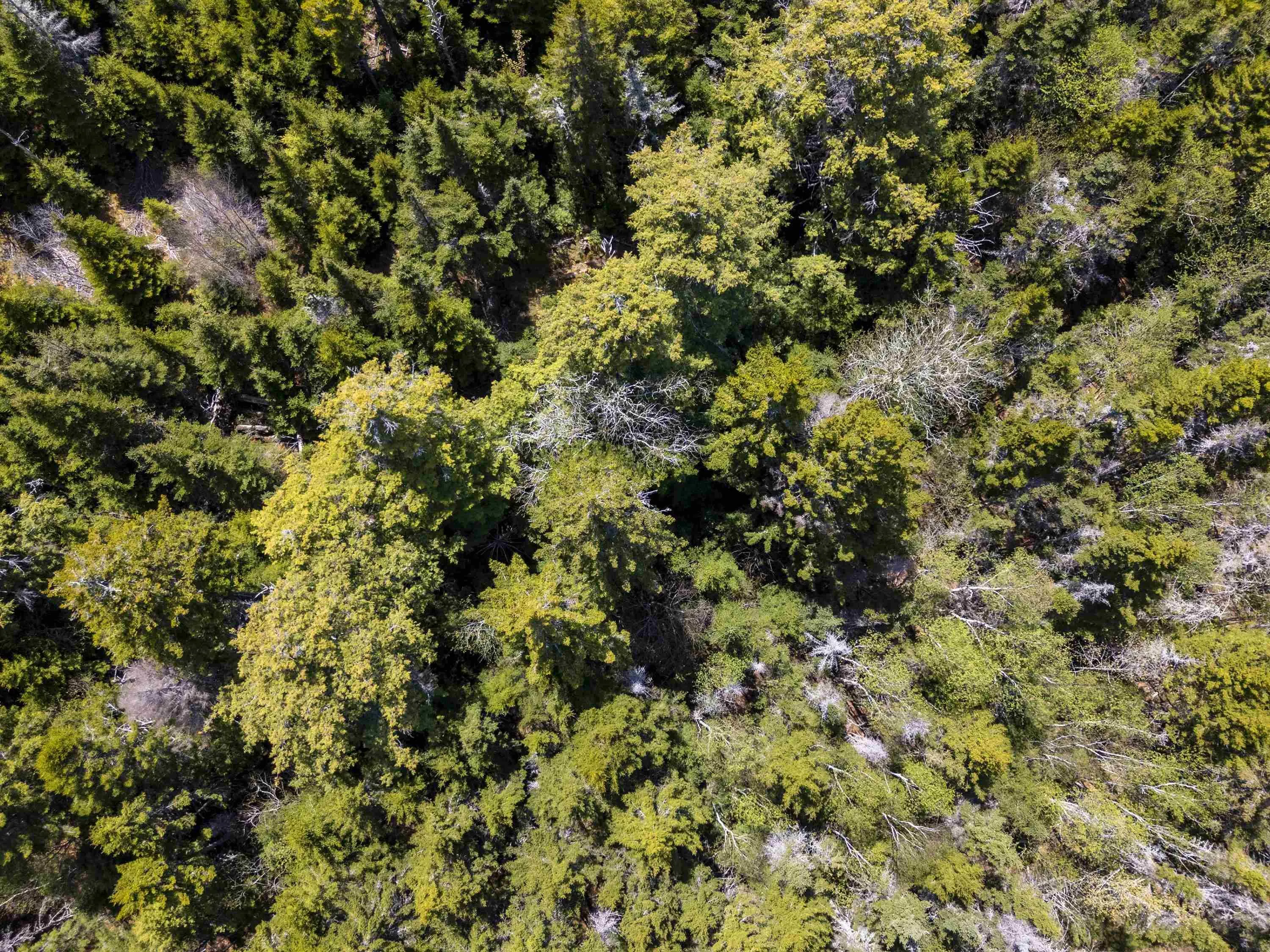 B-91 Old Halifax Road, Glen Haven, NS B3Z 2W8, ,Land,For Sale,Old Halifax,202512890