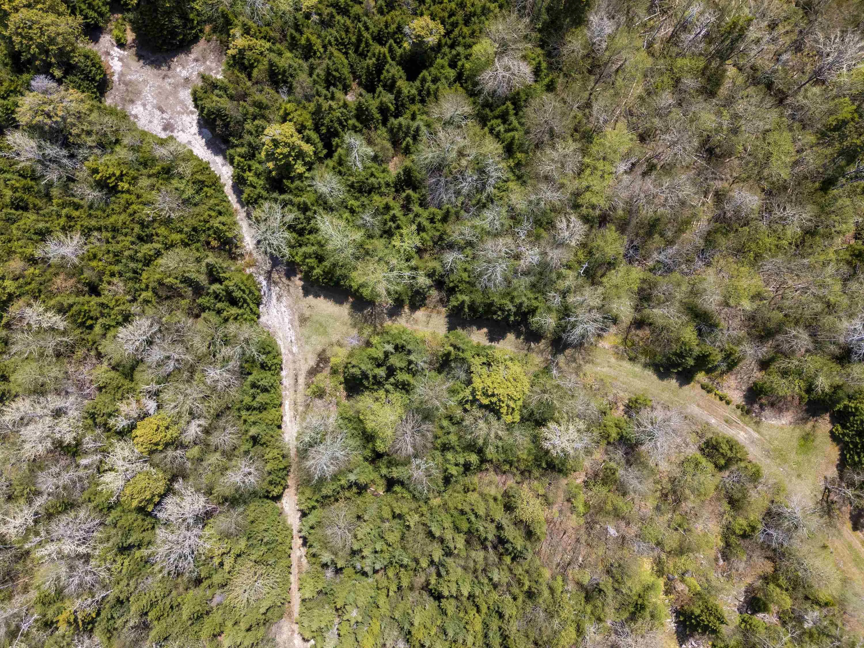 B-91 Old Halifax Road, Glen Haven, NS B3Z 2W8, ,Land,For Sale,Old Halifax,202512890