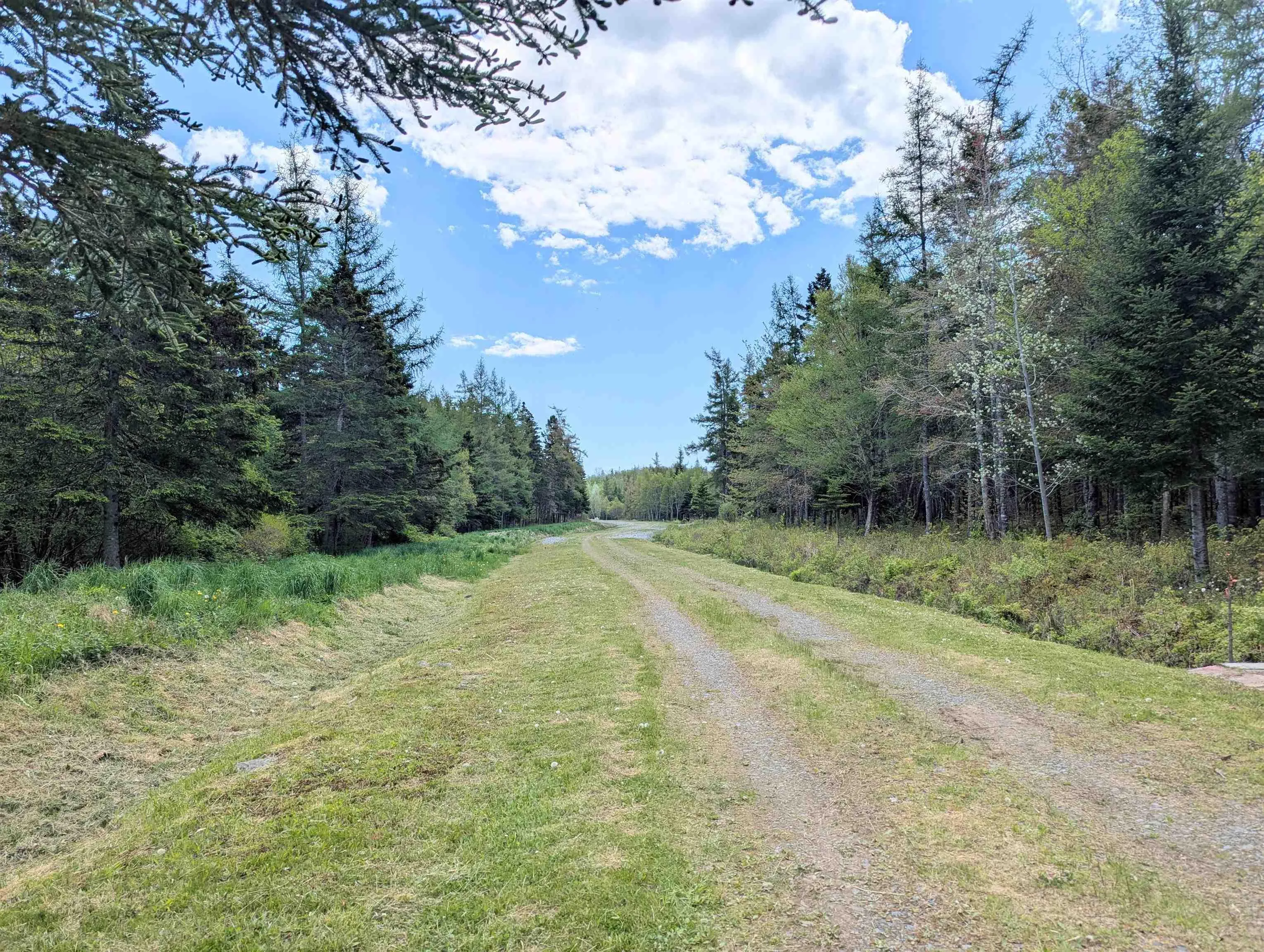 B-91 Old Halifax Road, Glen Haven, NS B3Z 2W8, ,Land,For Sale,Old Halifax,202512890