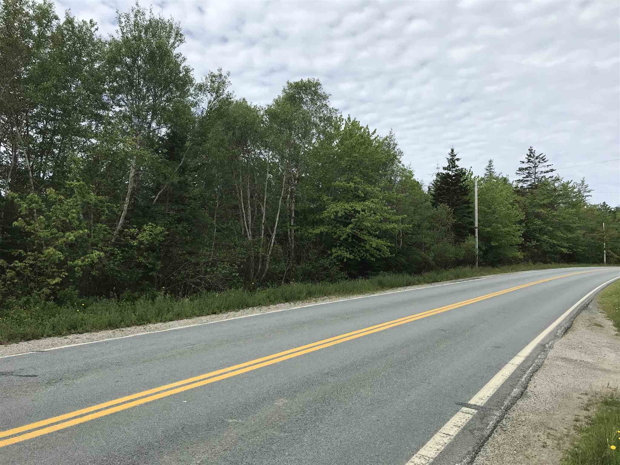 Highway 308 Highway, Belleville NS B0W 3M0, ,Land,For Sale,Highway 308,202114782