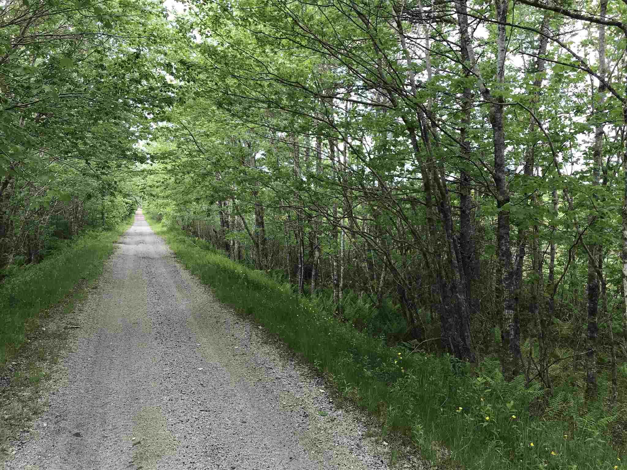 Highway 308 Highway, Belleville NS B0W 3M0, ,Land,For Sale,Highway 308,202114782