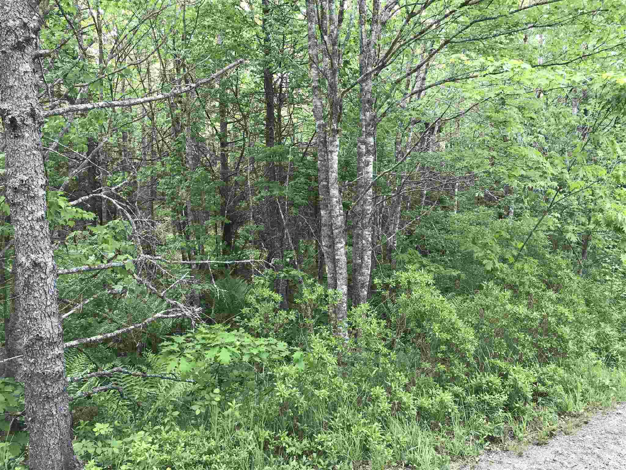 Highway 308 Highway, Belleville NS B0W 3M0, ,Land,For Sale,Highway 308,202114782