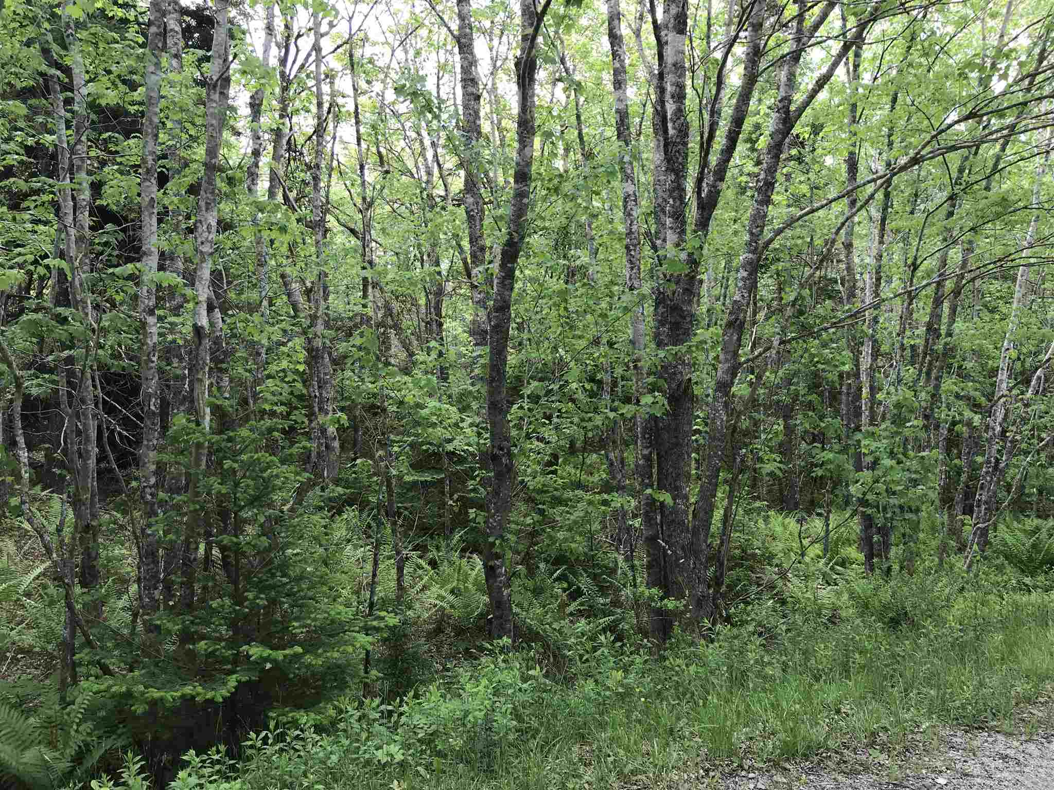 Highway 308 Highway, Belleville NS B0W 3M0, ,Land,For Sale,Highway 308,202114782
