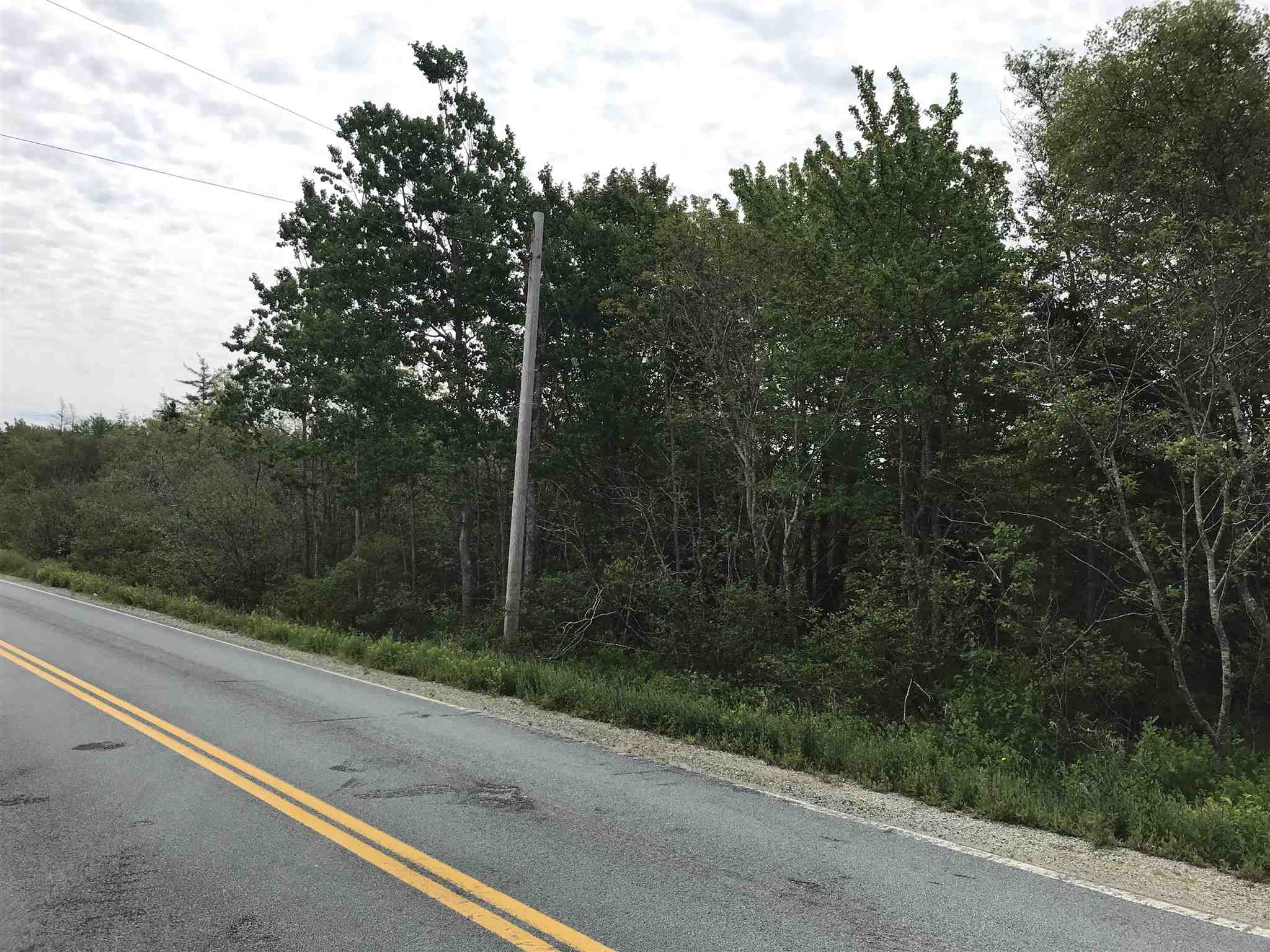 Highway 308 Highway, Belleville NS B0W 3M0, ,Land,For Sale,Highway 308,202114782