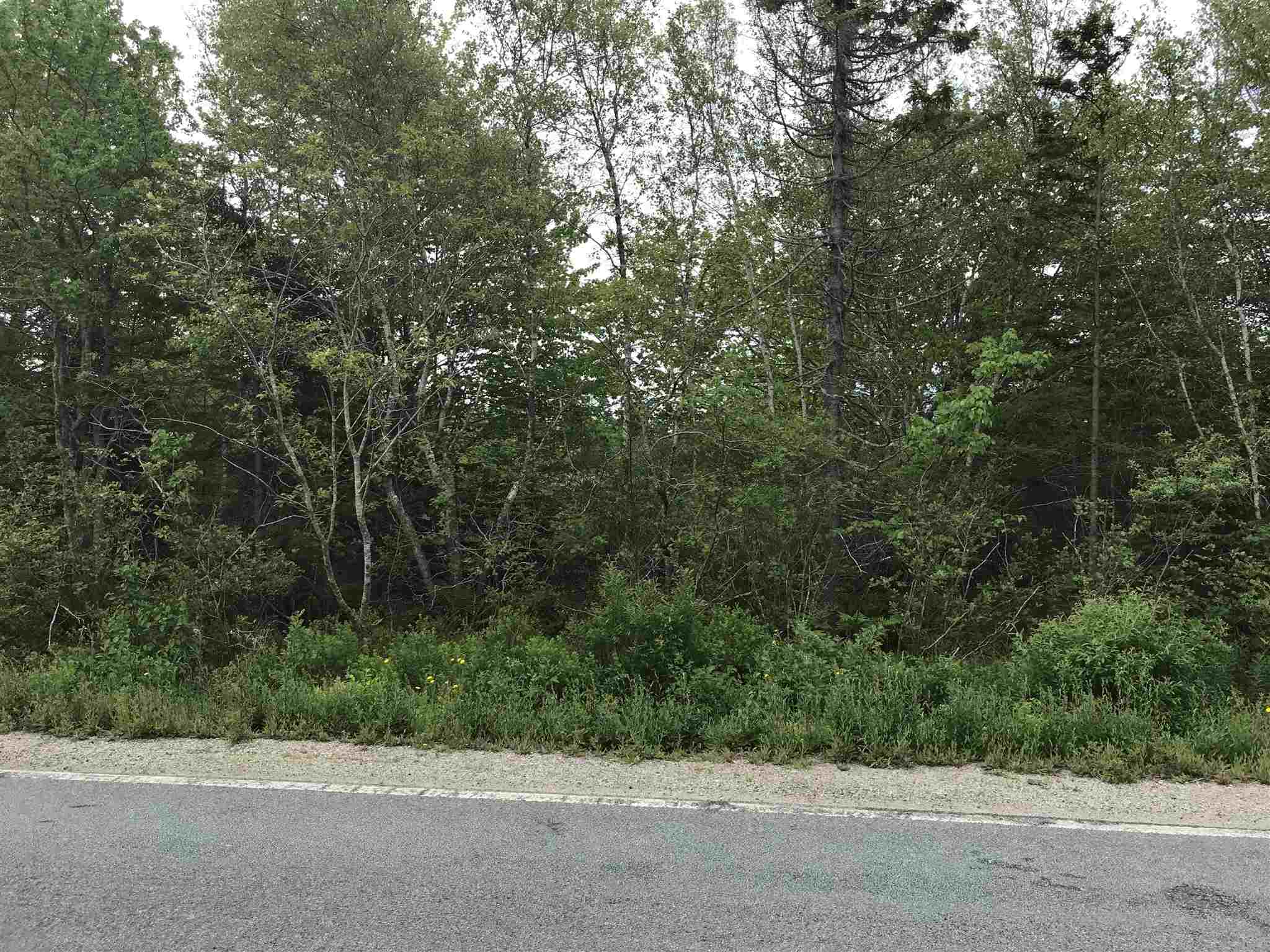 Highway 308 Highway, Belleville NS B0W 3M0, ,Land,For Sale,Highway 308,202114782