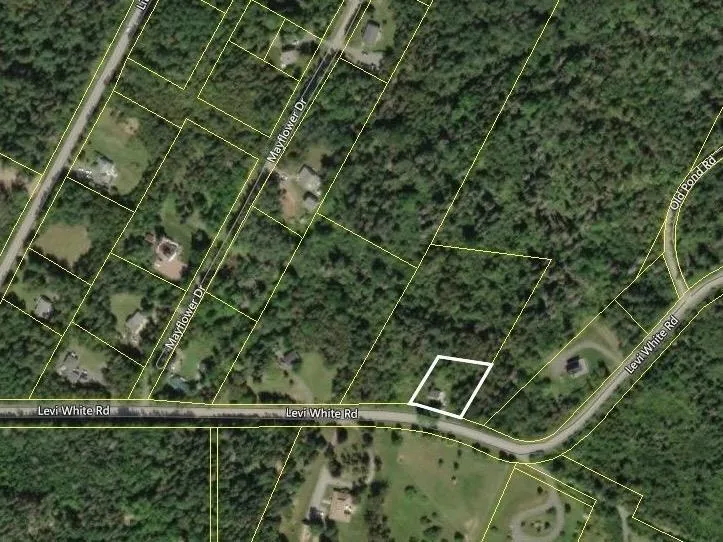 81 Levi White Road, Kings Head, NS B2H 5C4, ,Land,For Sale,Levi White Road,202520671