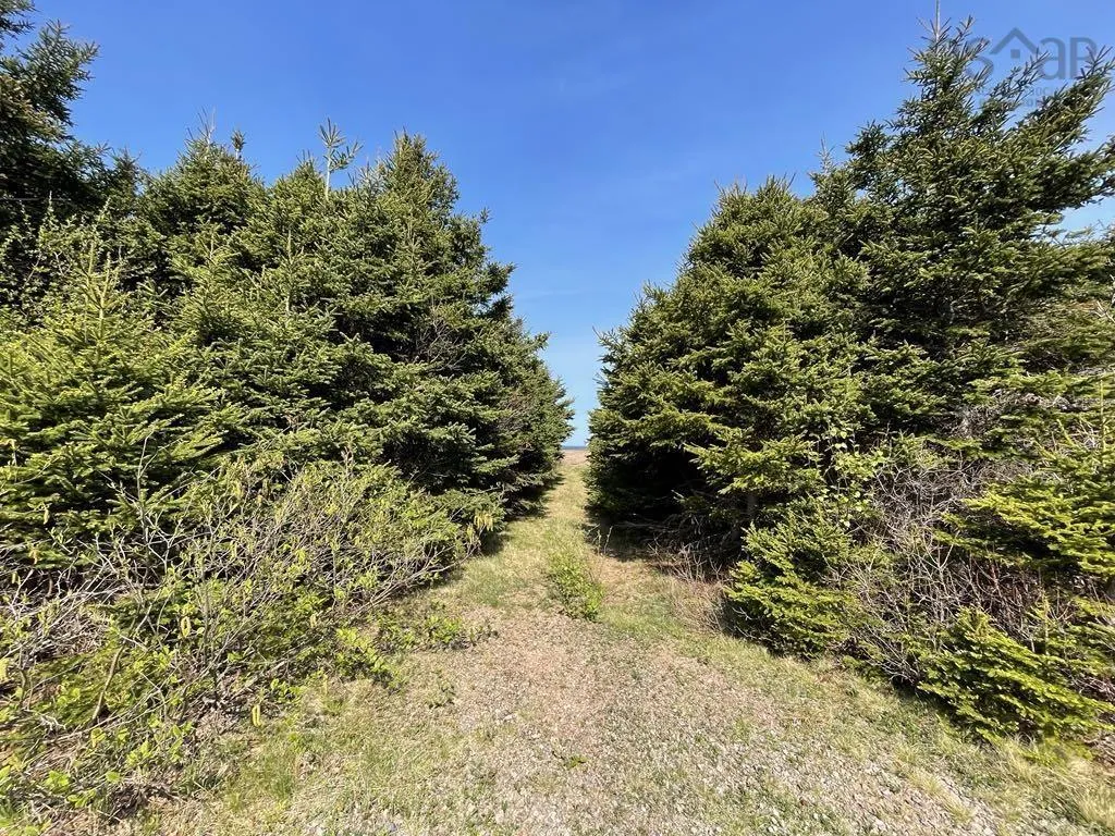 99 Pleasant Bay Loop, Pleasant Bay, NS B0E 1H0, 1 Bedroom Bedrooms, ,1 BathroomBathrooms,Residential,For Sale,Pleasant Bay,202513017