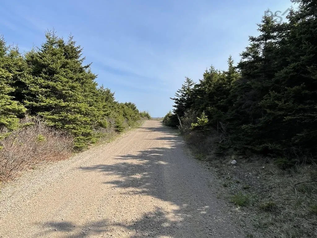 99 Pleasant Bay Loop, Pleasant Bay, NS B0E 1H0, 1 Bedroom Bedrooms, ,1 BathroomBathrooms,Residential,For Sale,Pleasant Bay,202513017