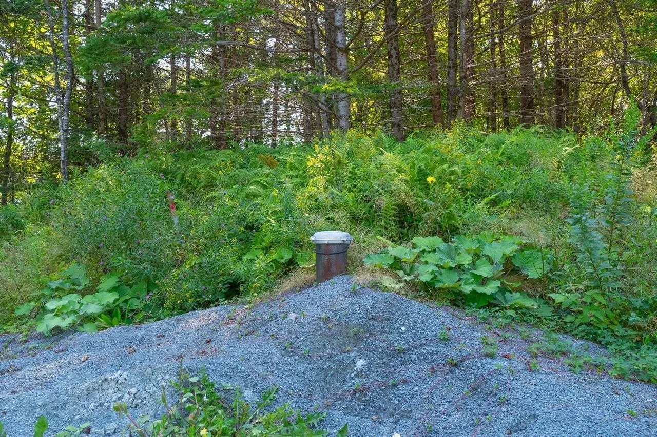 62 Myra Road, Porters Lake Ns B3e 1e9, ,Land,For Sale,Myra,202503877