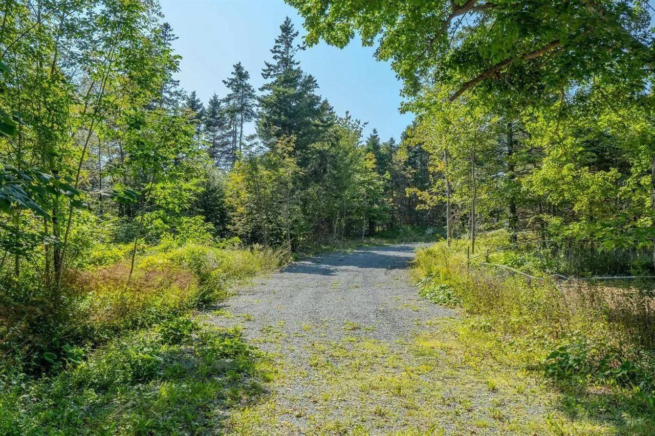 62 Myra Road, Porters Lake Ns B3e 1e9, ,Land,For Sale,Myra,202503877