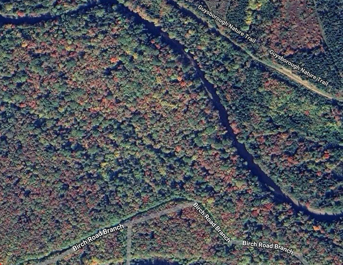 Lot 28 Birch Road Branch, Ogden, NS B0H 1N0, ,Land,For Sale,Birch Road,202512969