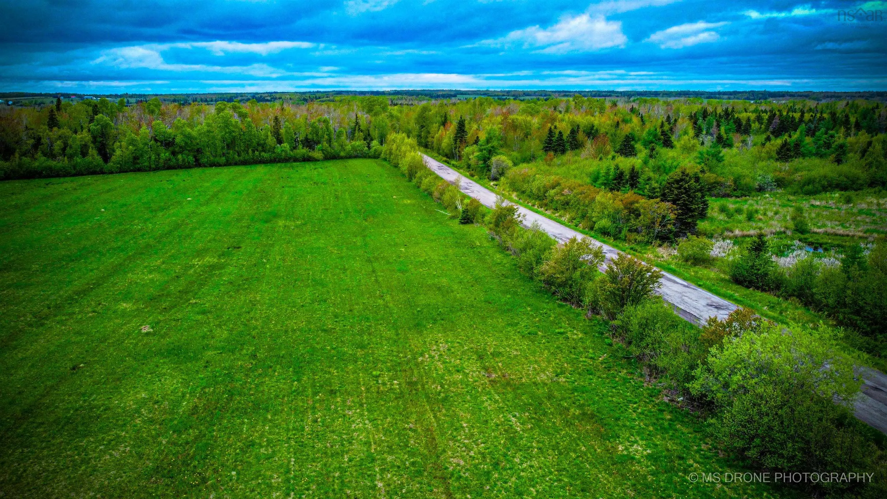 Highway 6, Wallace Bay, NS B0K 1Y0, ,Land,For Sale,Highway 6,202513552
