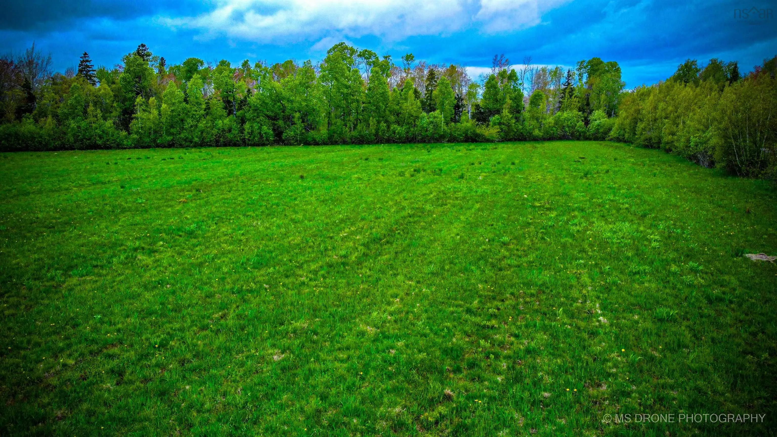 Highway 6, Wallace Bay, NS B0K 1Y0, ,Land,For Sale,Highway 6,202513552