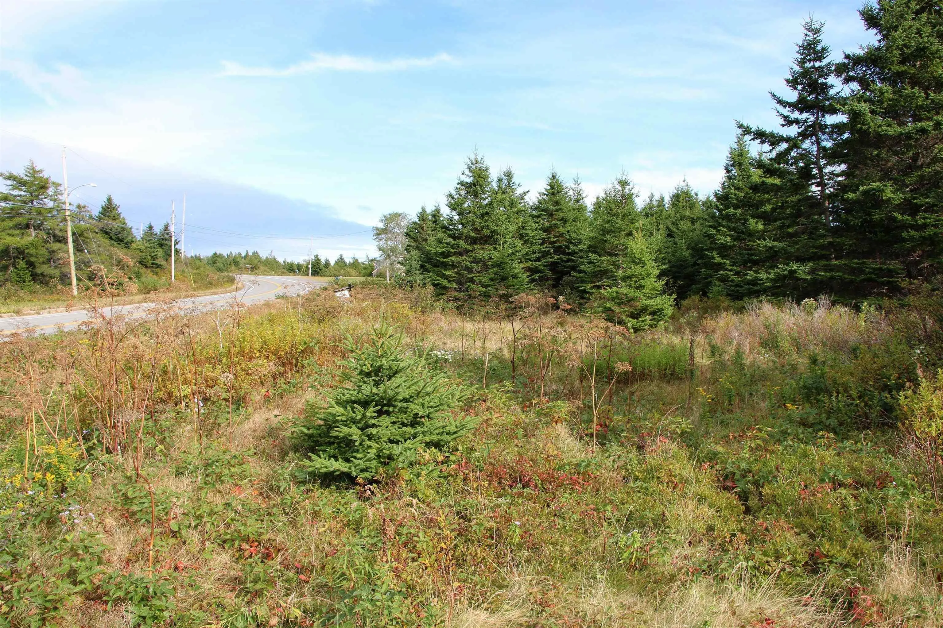Highway 16, Hazel Hill, NS B0H 1H0, ,Land,For Sale,Highway 16,202413031