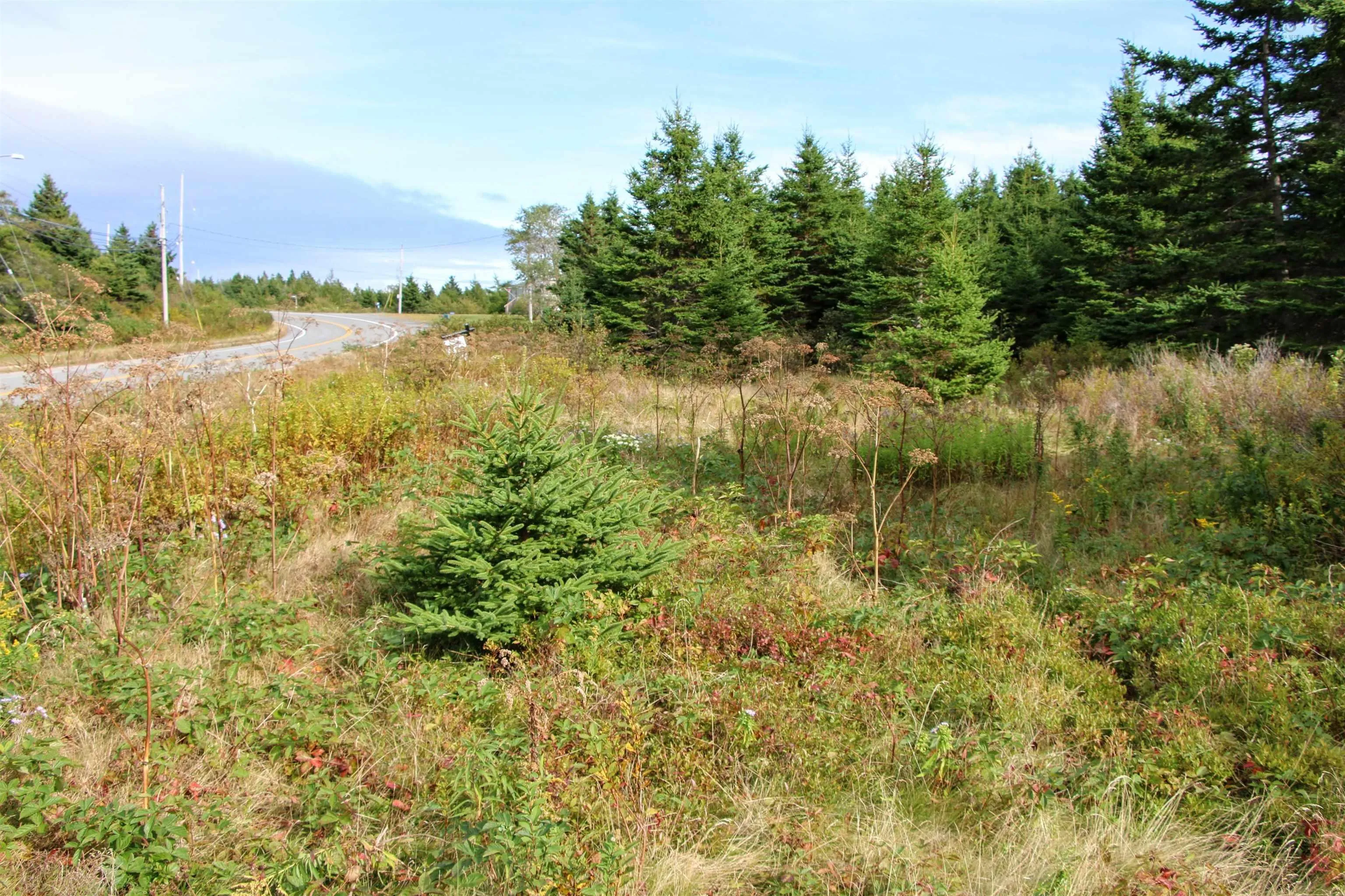 Highway 16, Hazel Hill, NS B0H 1H0, ,Land,For Sale,Highway 16,202413031