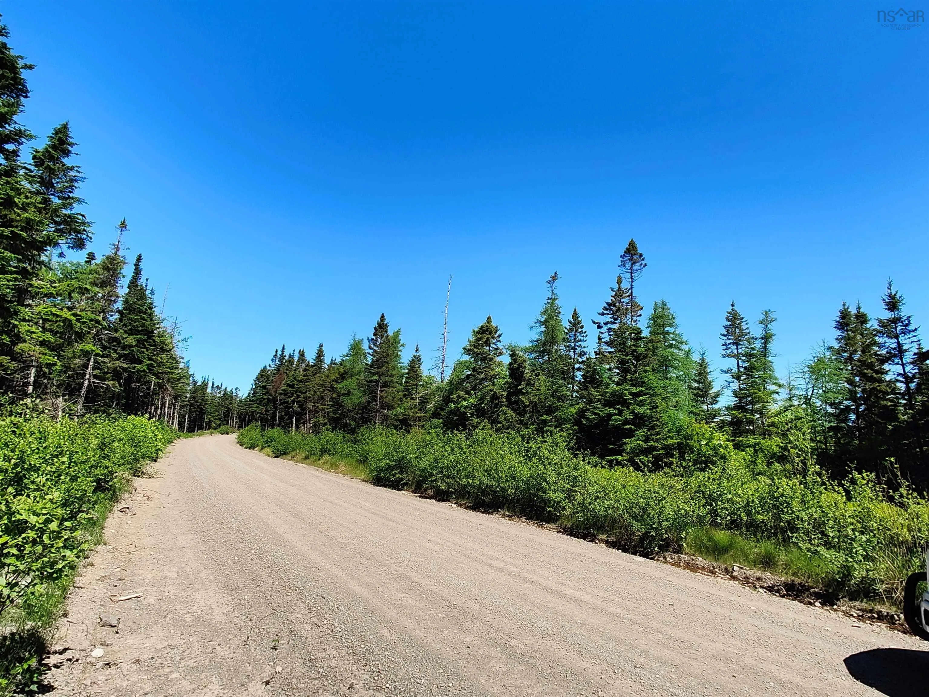 Loch Lomond Road W Lot 11, Loch Lomond Ns B1j 1v6, ,Land,For Sale,Westside Loch Lomond,202415085