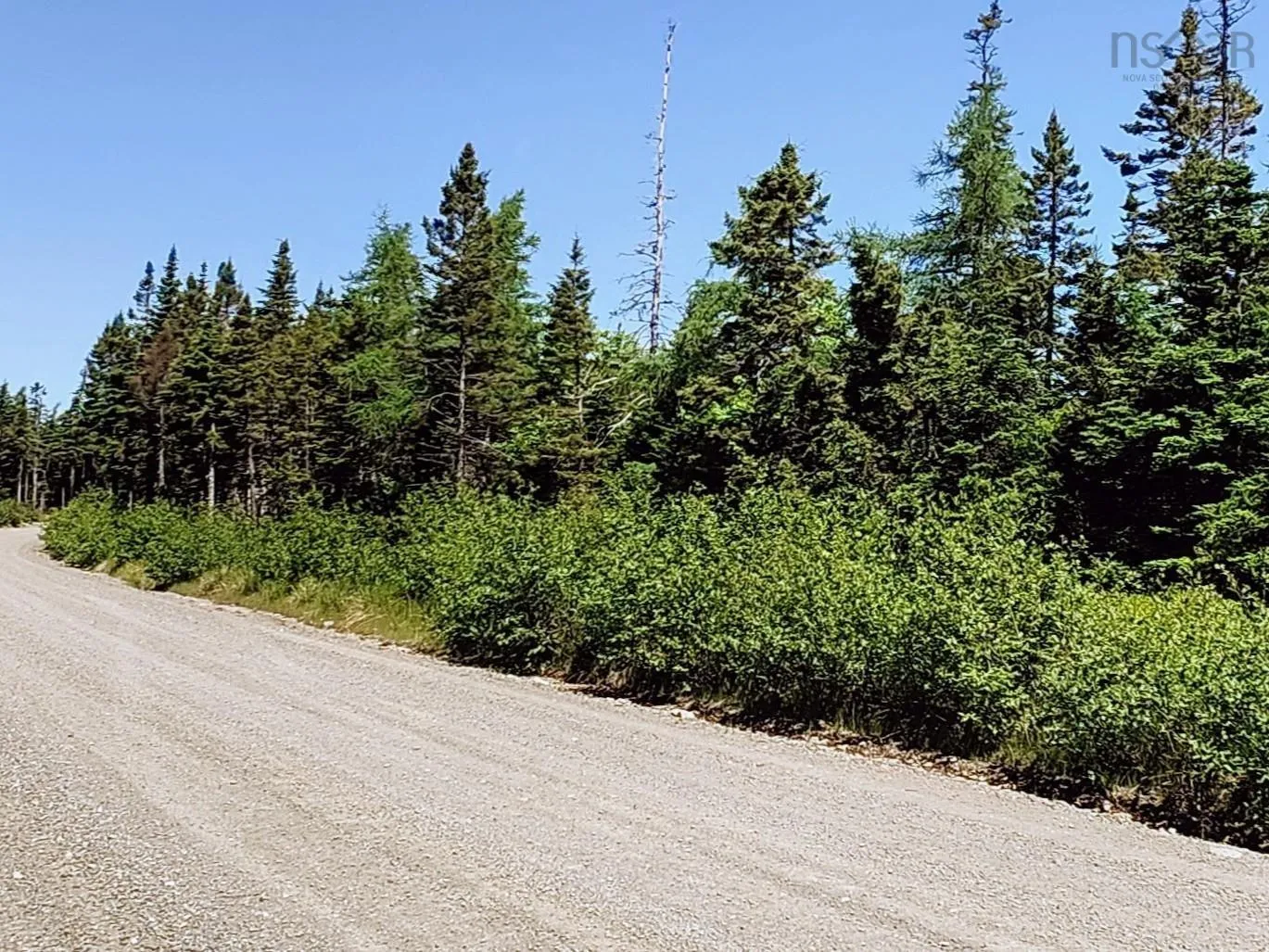 Loch Lomond Road W Lot 11, Loch Lomond Ns B1j 1v6, ,Land,For Sale,Westside Loch Lomond,202415085