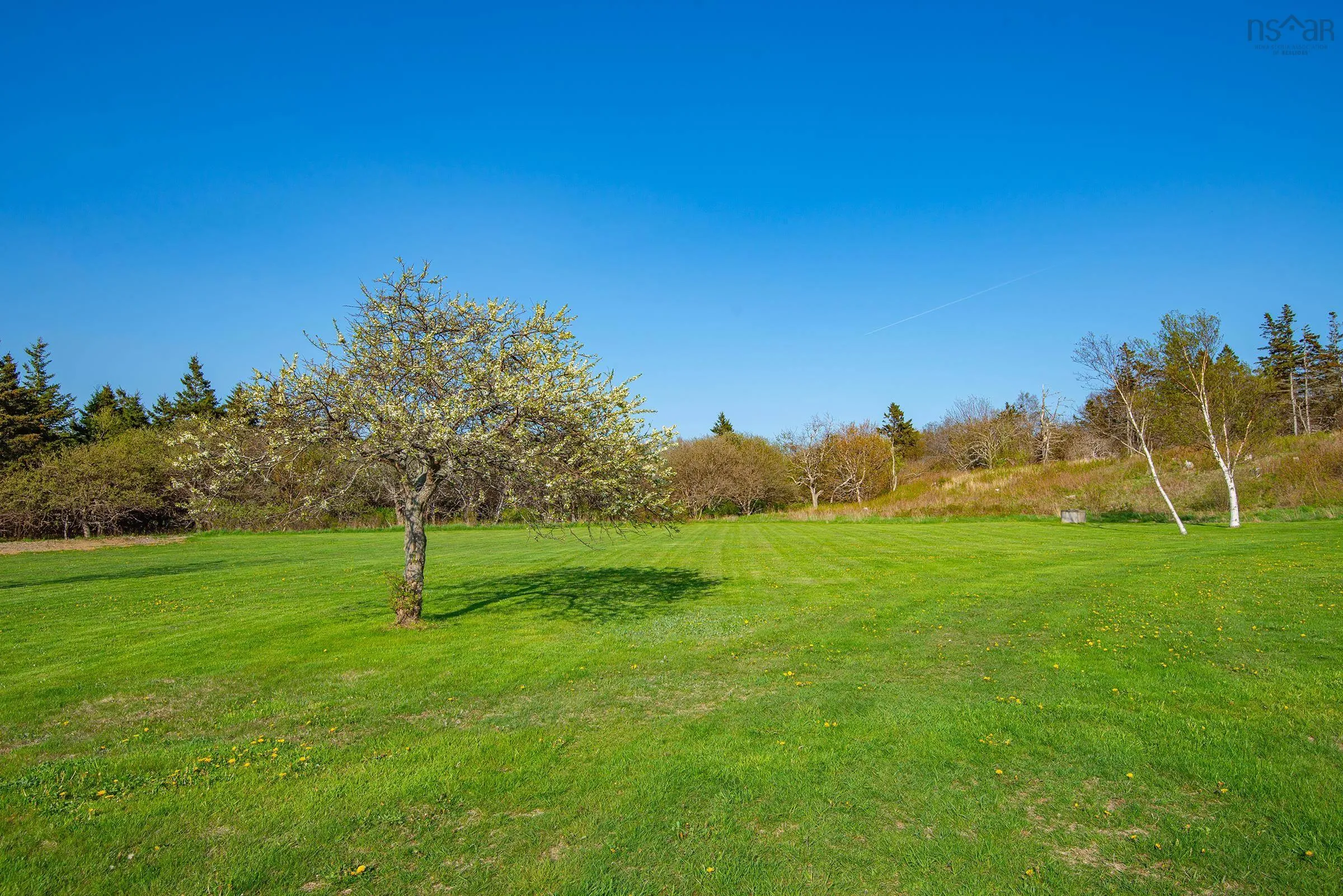 79 Marc Comeau Road, Meteghan River, NS B0W 2L0, 4 Bedrooms Bedrooms, ,2 BathroomsBathrooms,Residential,For Sale,Marc Comeau,202511510