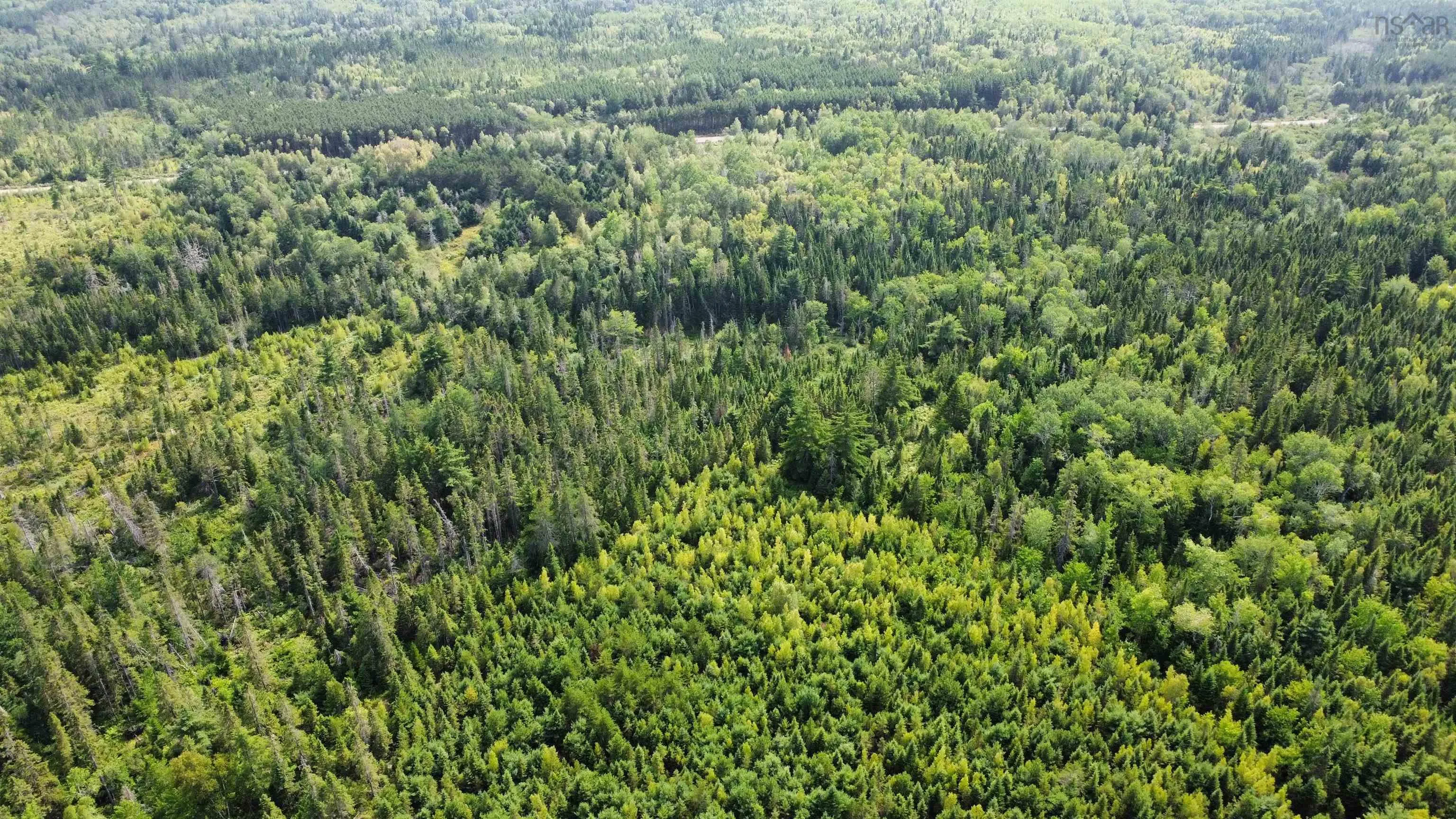 Athol Road, Springhill, NS B0M 1X0, ,Land,For Sale,Athol,202520900
