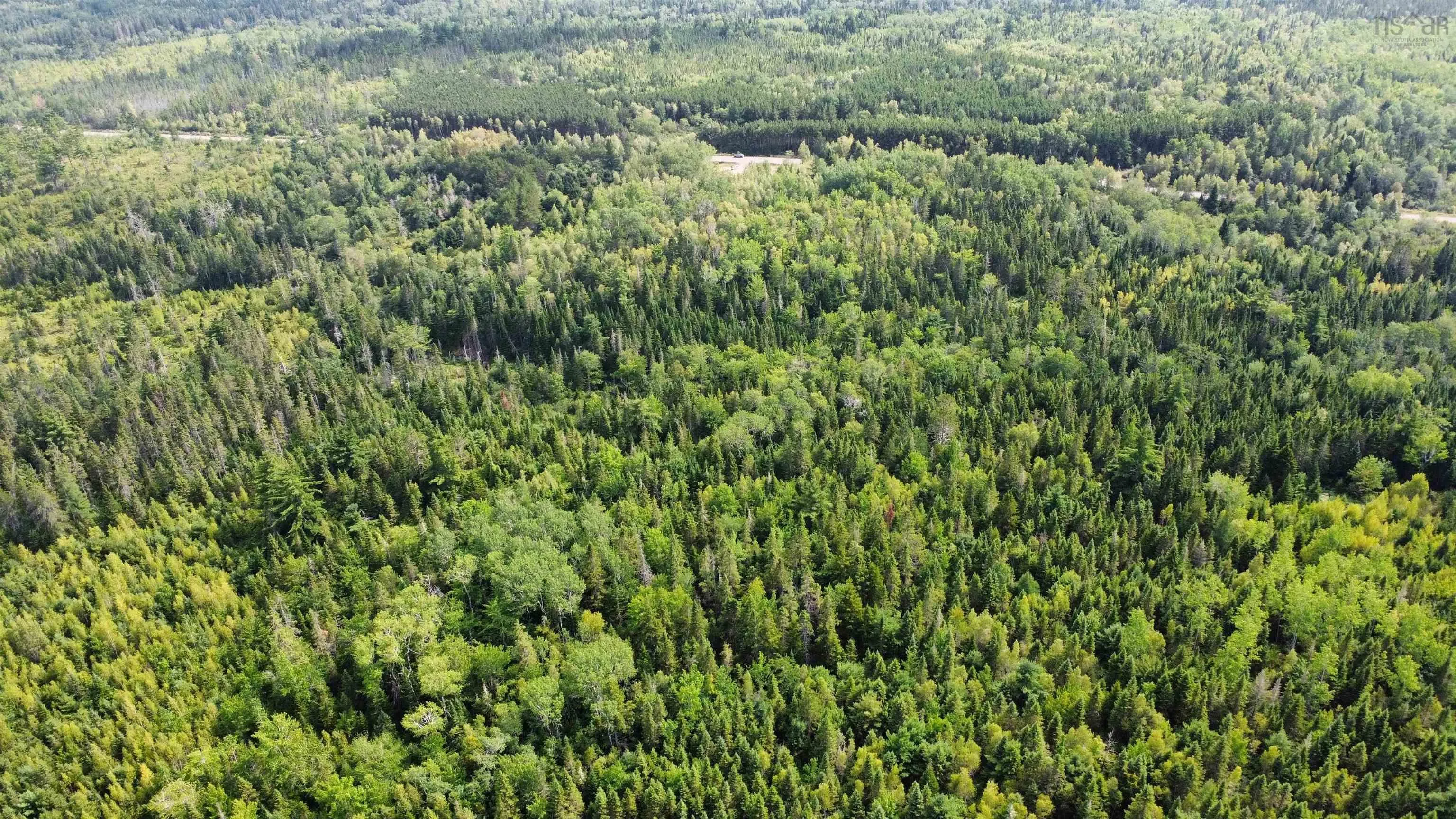 Athol Road, Springhill, NS B0M 1X0, ,Land,For Sale,Athol,202520900