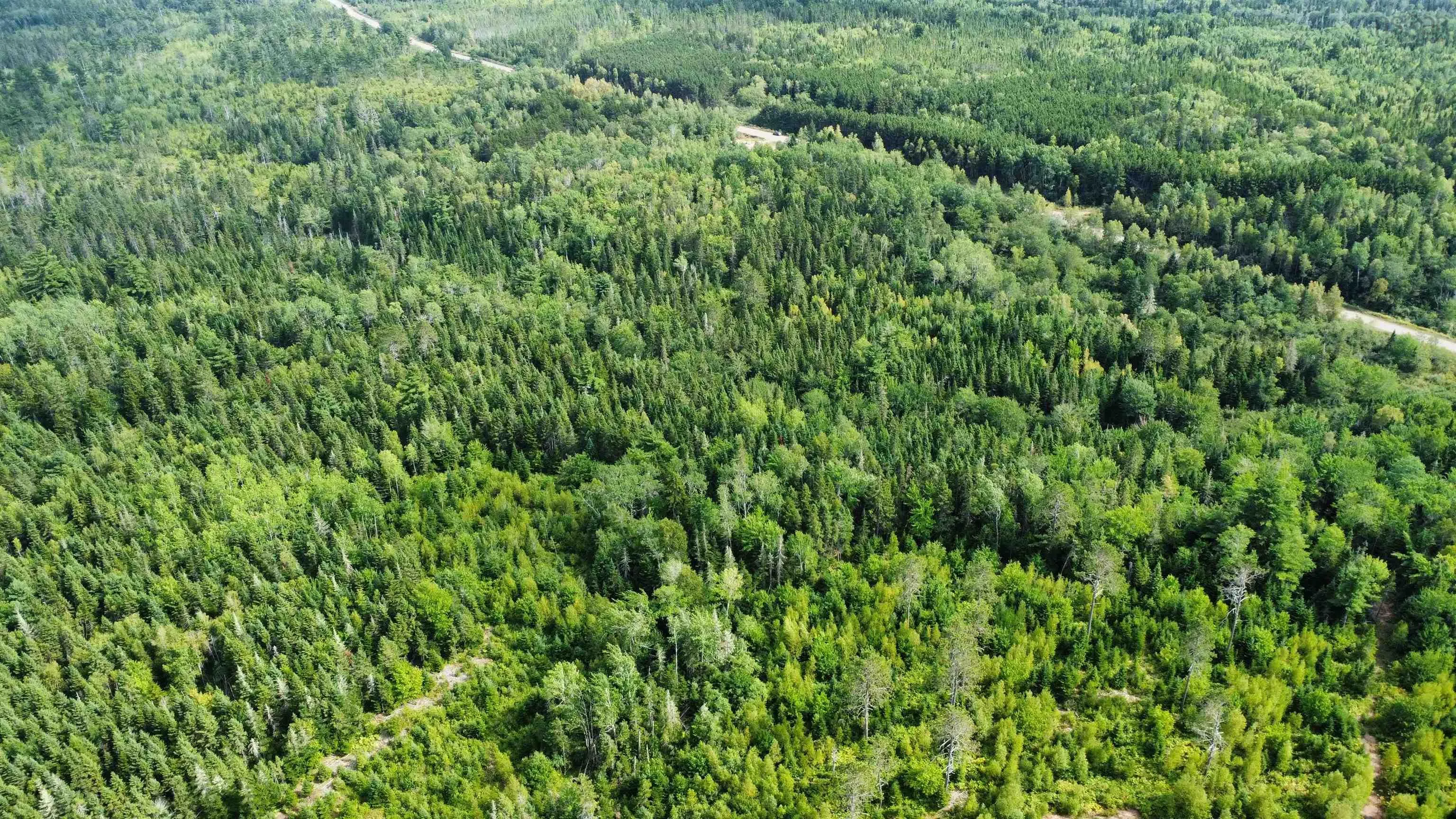 Athol Road, Springhill, NS B0M 1X0, ,Land,For Sale,Athol,202520900