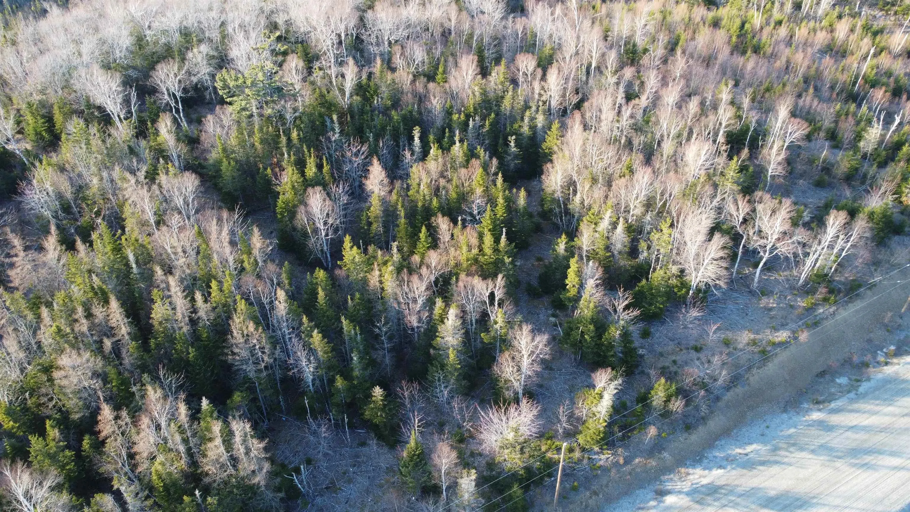 Shieling Drive Lot 21, Marion Bridge Ns B1k 0b3, ,Land,For Sale,Shieling,202426200