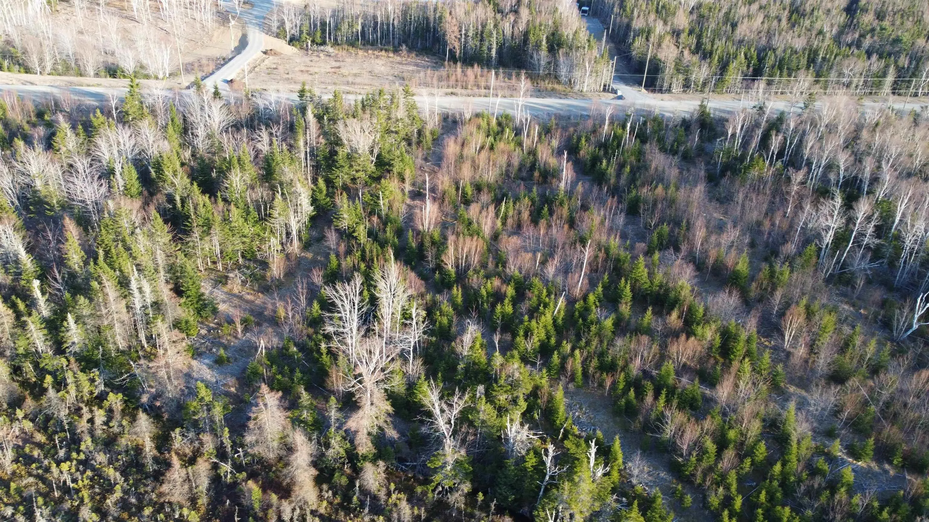 Shieling Drive Lot 21, Marion Bridge Ns B1k 0b3, ,Land,For Sale,Shieling,202426200