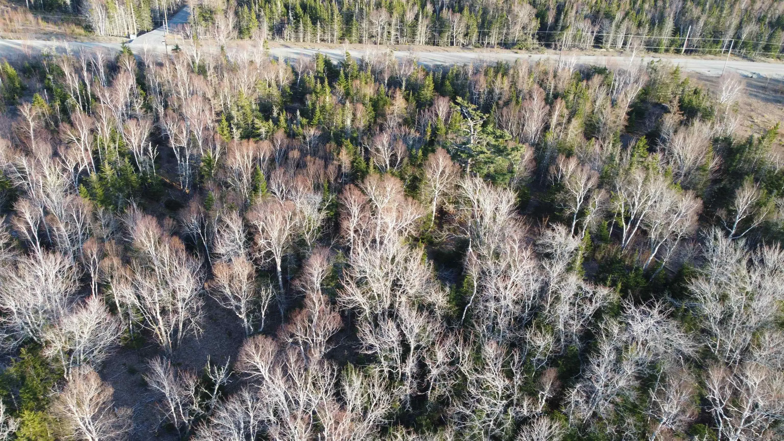 Shieling Drive Lot 21, Marion Bridge Ns B1k 0b3, ,Land,For Sale,Shieling,202426200