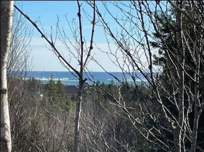 Lot B1-4 Saddle Island Road, Bayswater, NS B0J 1T0, ,Land,For Sale,Saddle Island,202515182