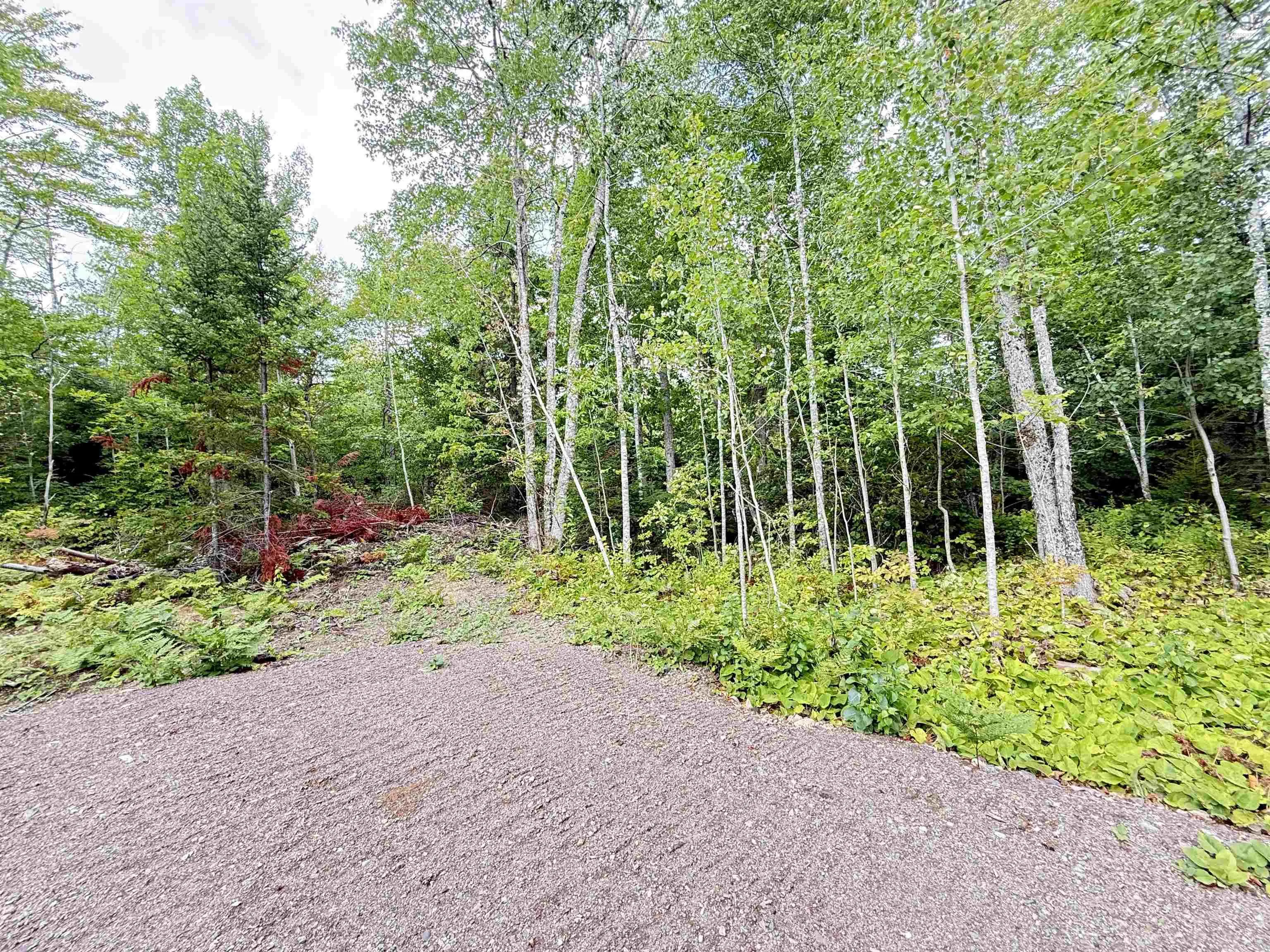 825 Balmoral Road, Central New Annan, NS B0K 1V0, 1 Bedroom Bedrooms, ,Residential,For Sale,Balmoral Road,202522024