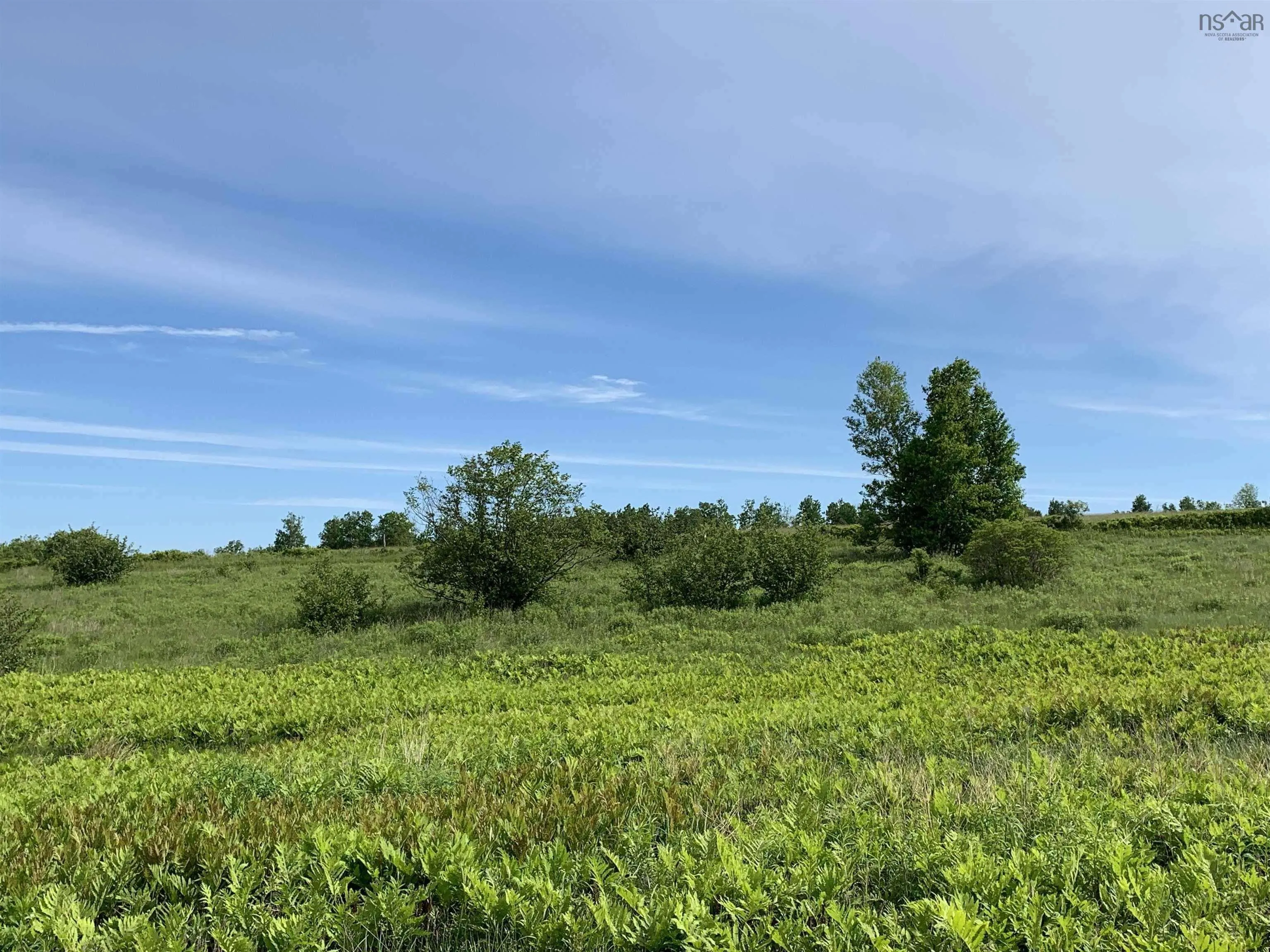 Highway 215, Kempt Shore Ns B0n 2a0, ,Land,For Sale,Highway 215,202426380