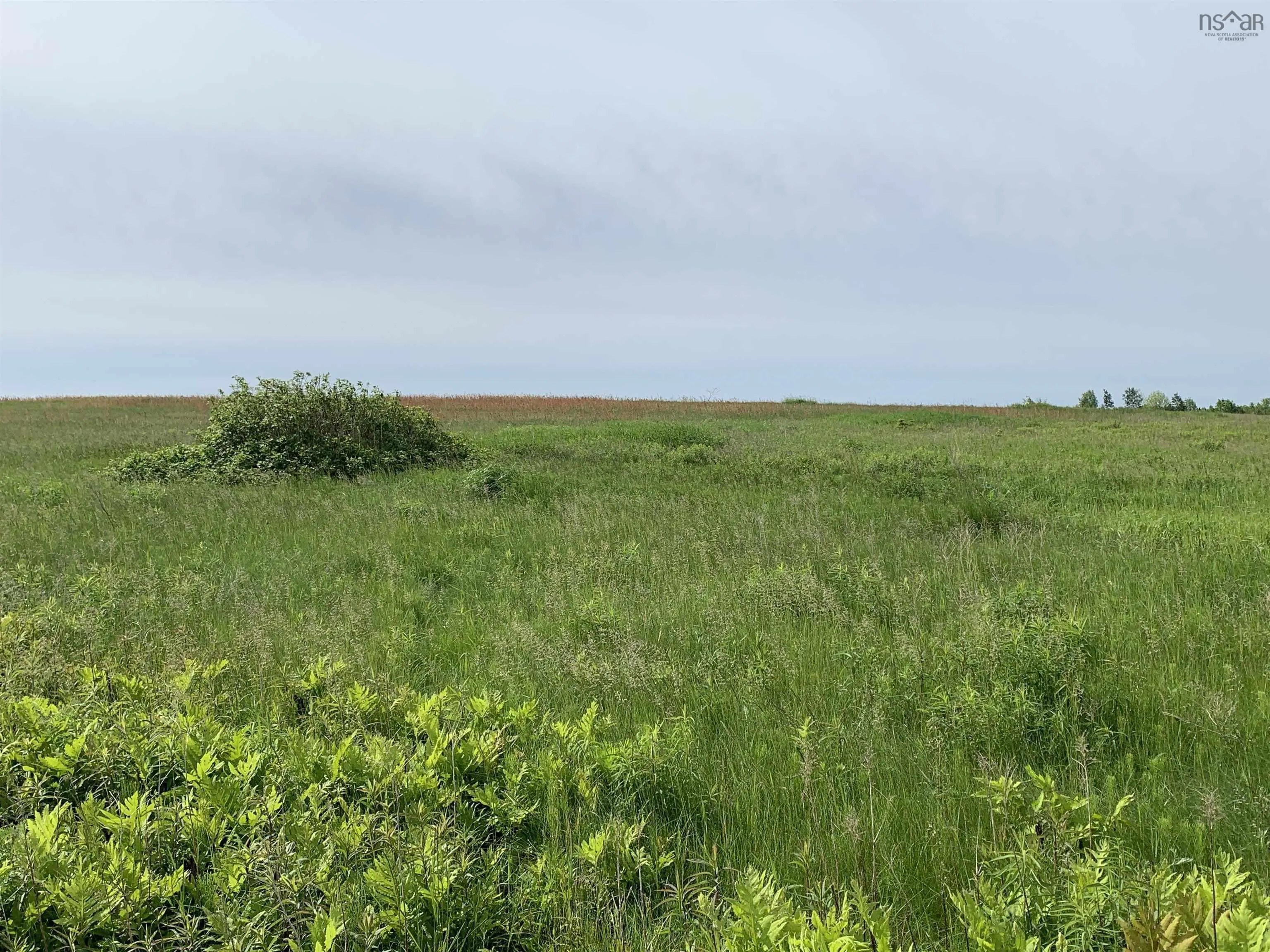 Highway 215, Kempt Shore Ns B0n 2a0, ,Land,For Sale,Highway 215,202426380