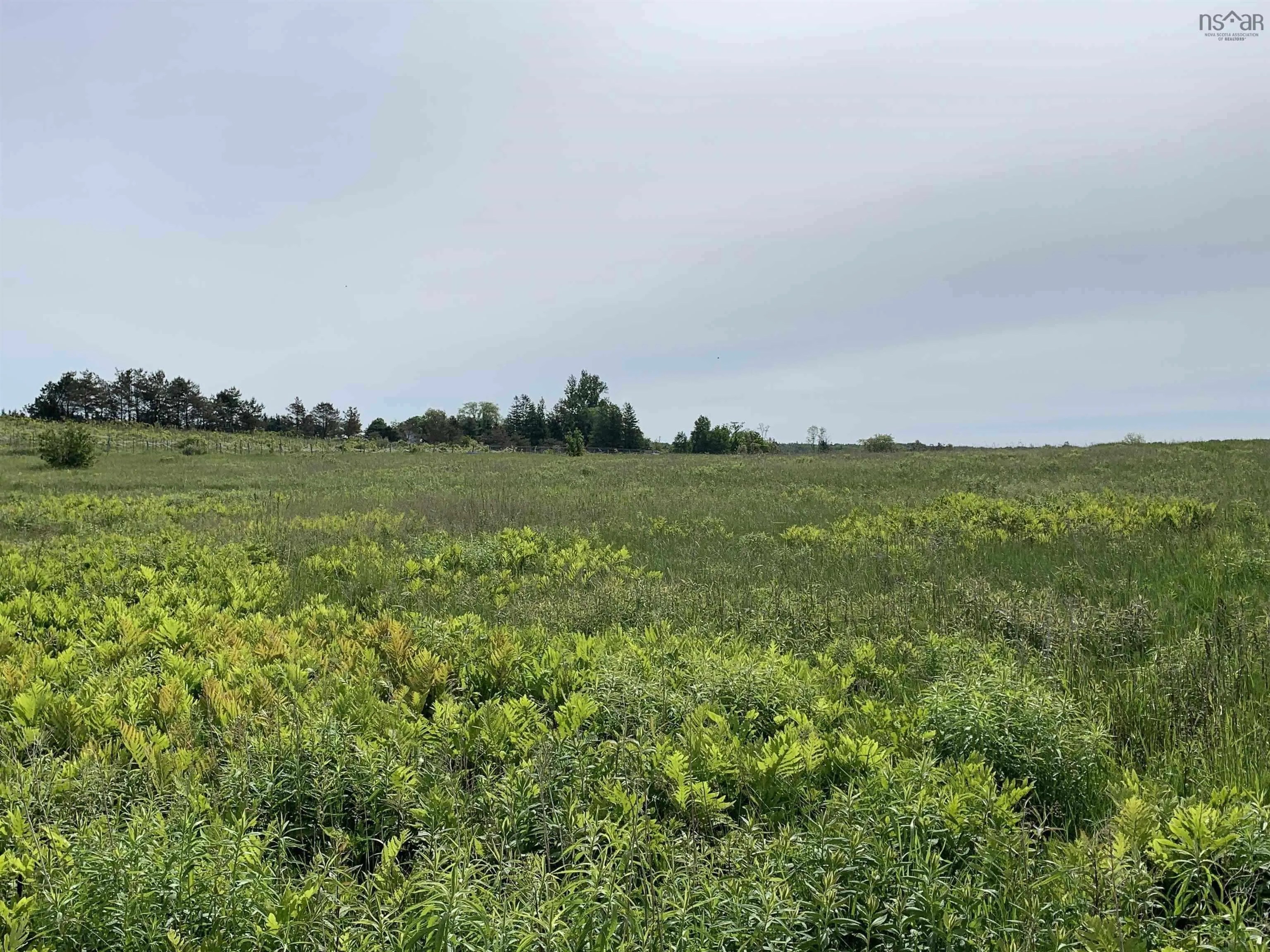 Highway 215, Kempt Shore Ns B0n 2a0, ,Land,For Sale,Highway 215,202426380
