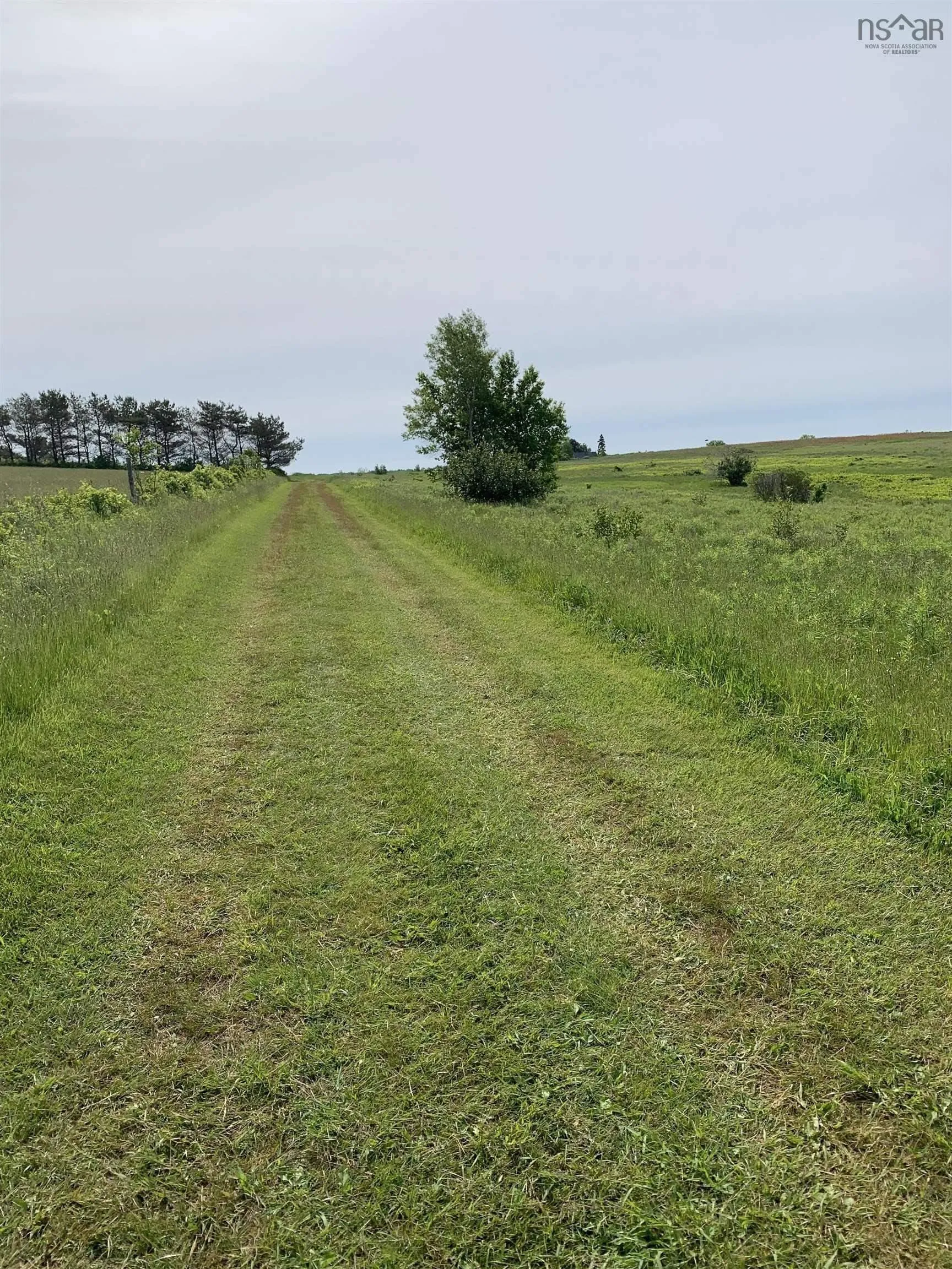 Highway 215, Kempt Shore Ns B0n 2a0, ,Land,For Sale,Highway 215,202426380